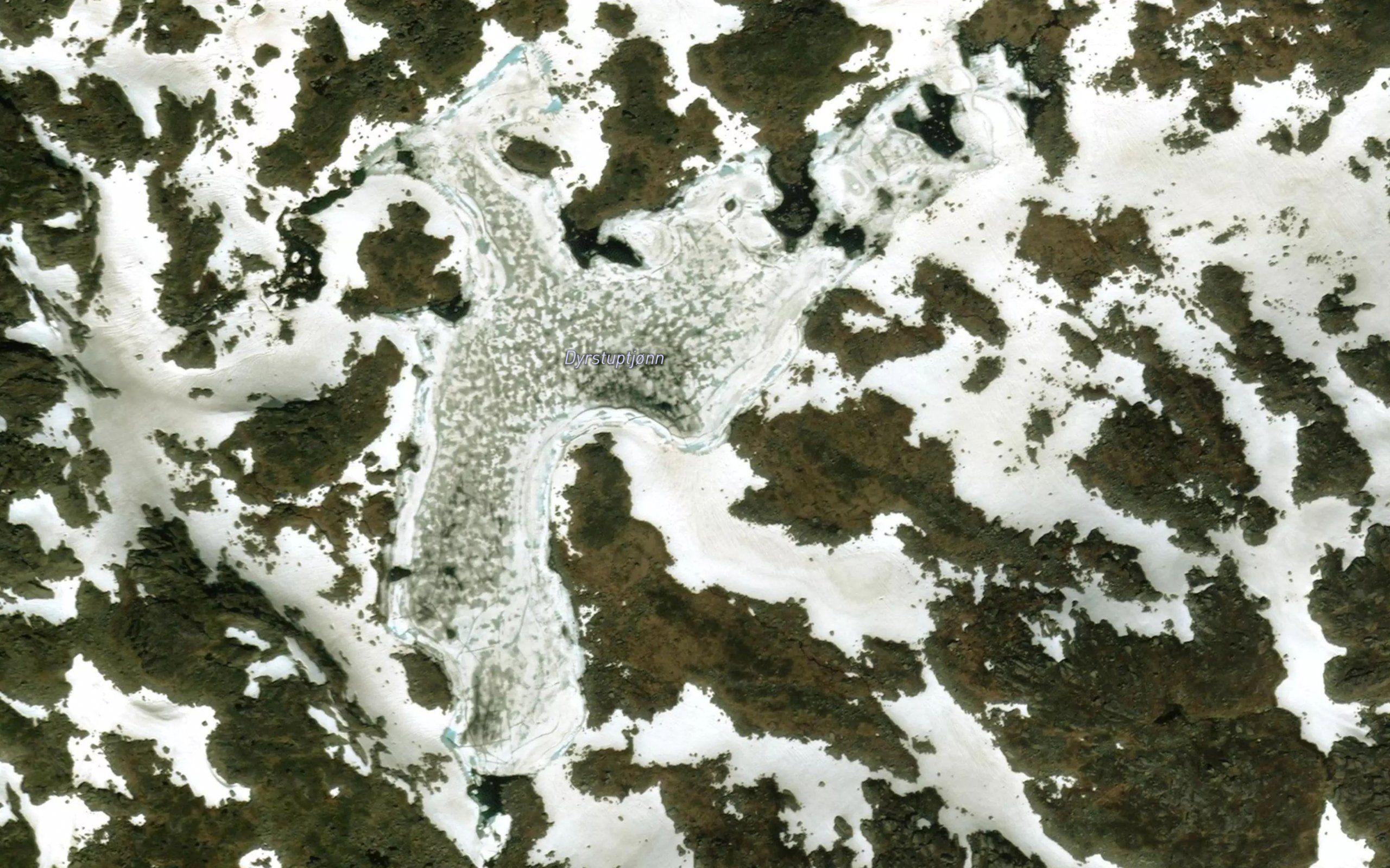 Dyrstuptjorn