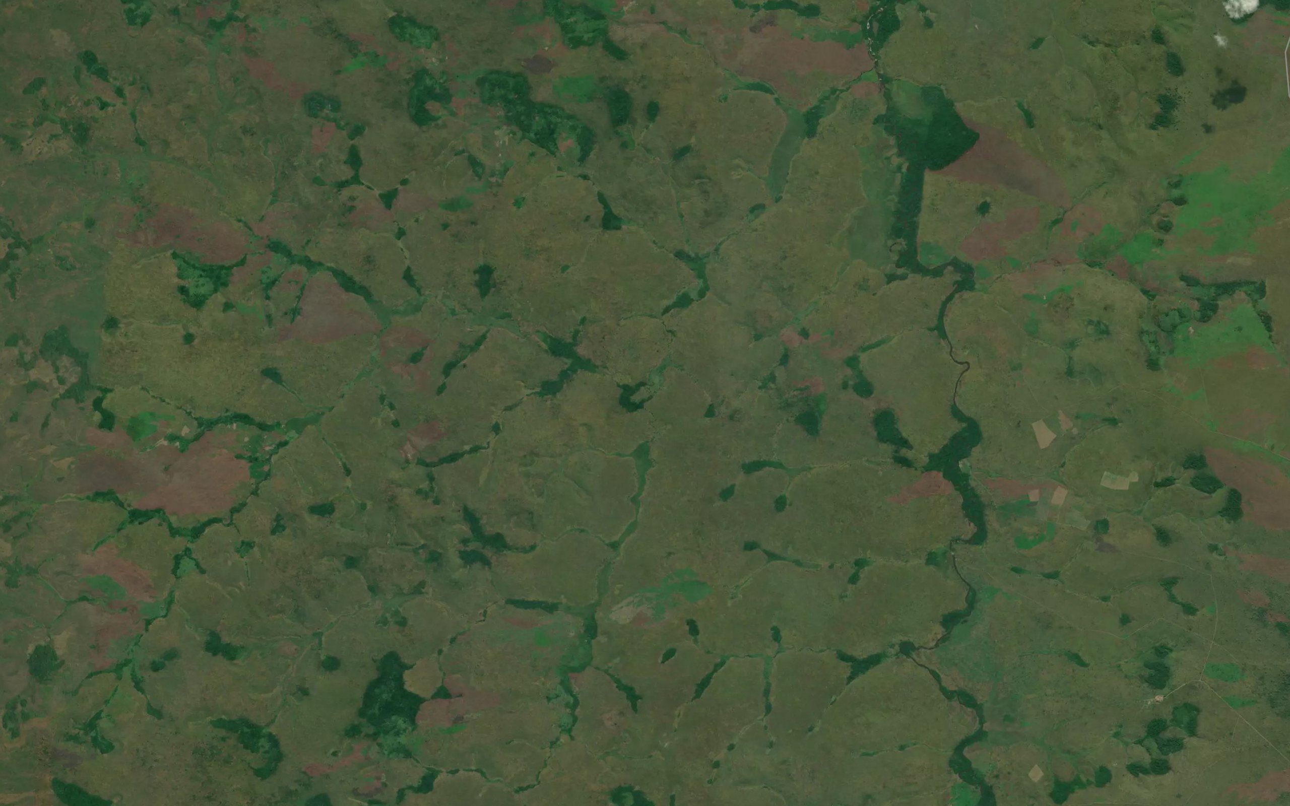 Bulo-Bulo