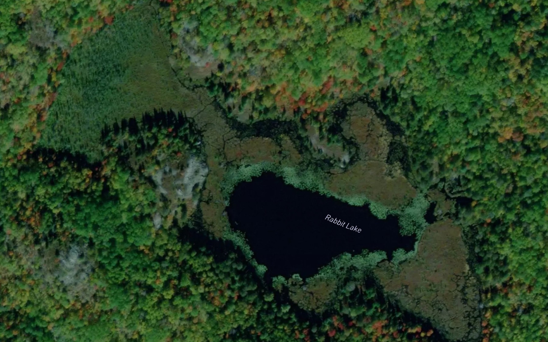 Satellite map of the Rabbit Lake