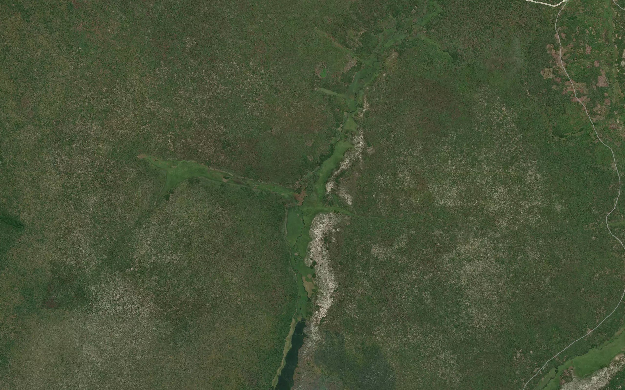 Macula