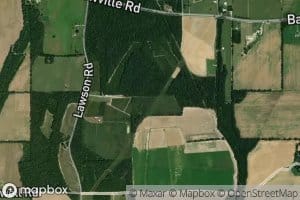 Open Slough