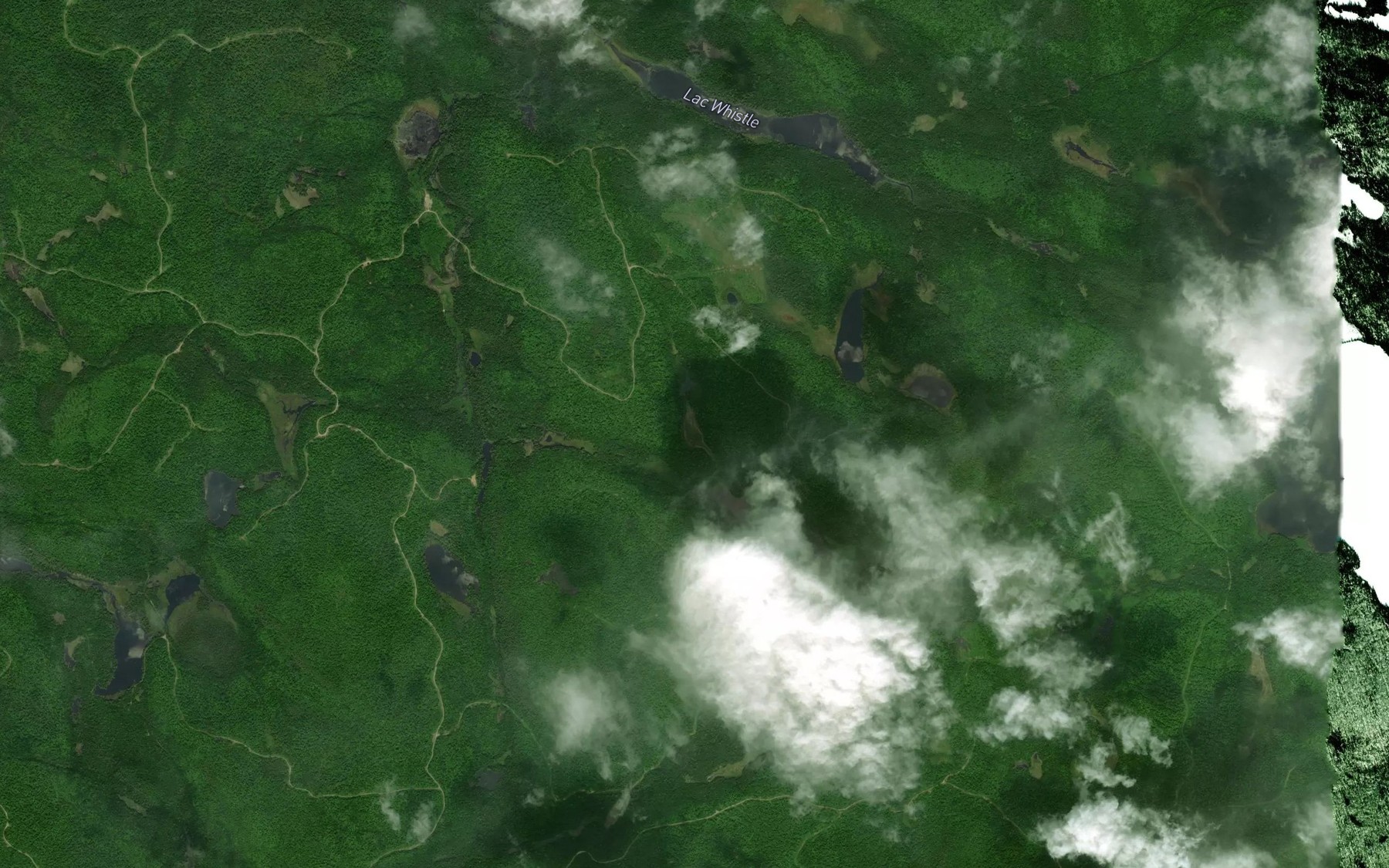 Satellite map of the Lac des Bourdons