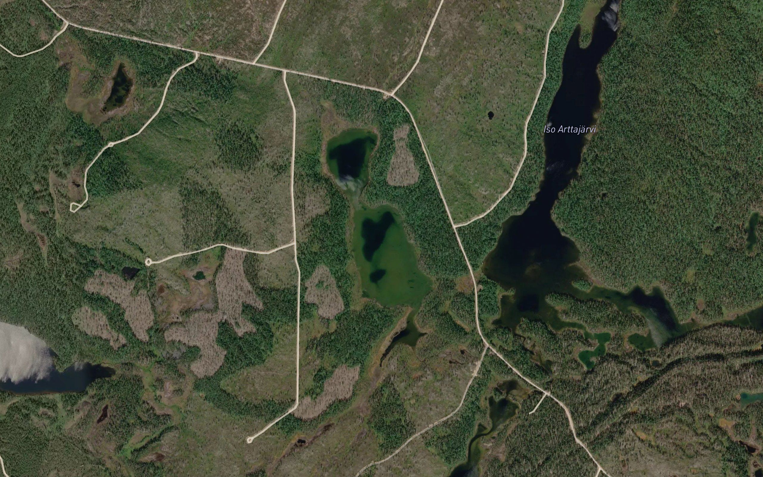 Laanajavri