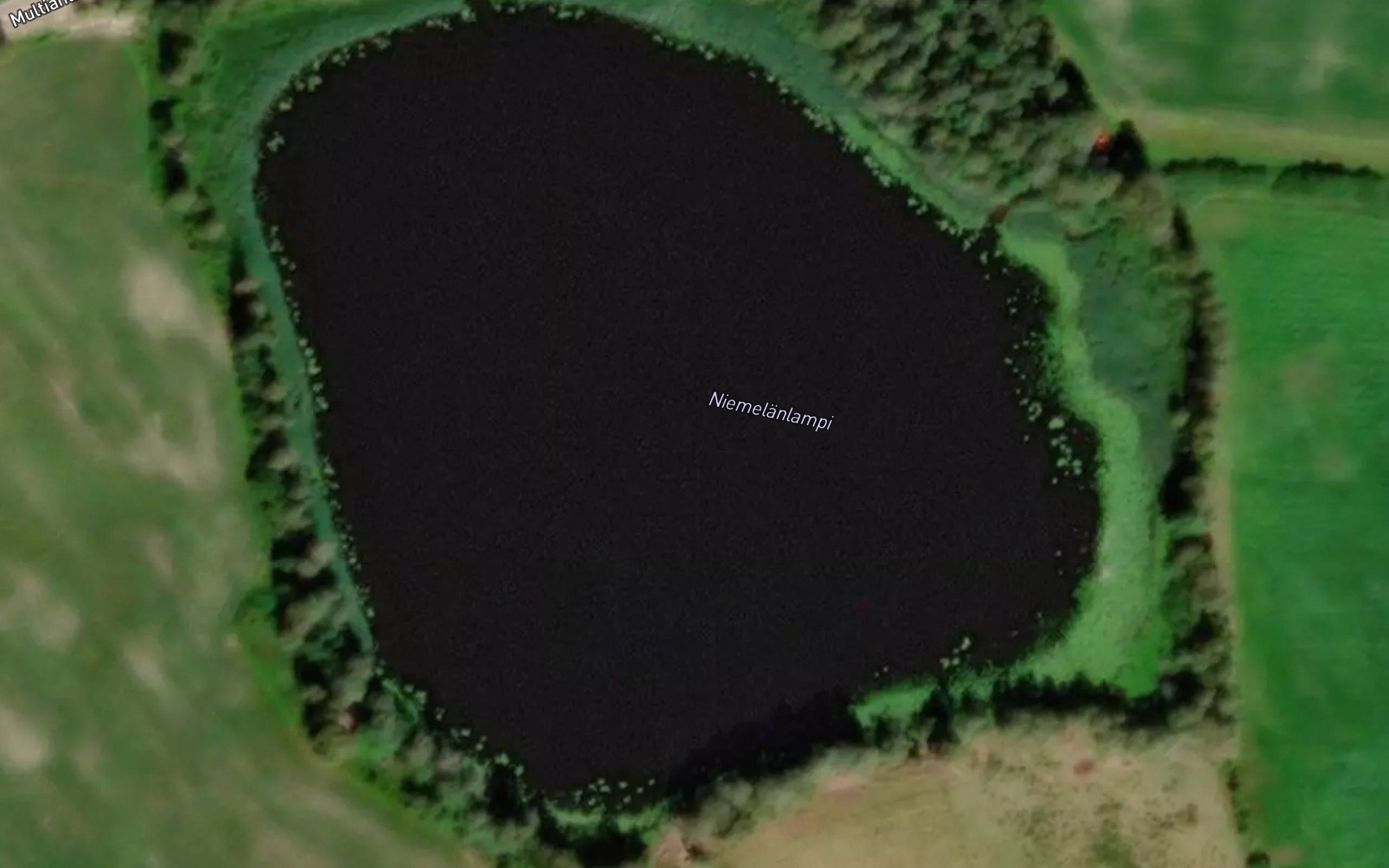 Niemelanlampi