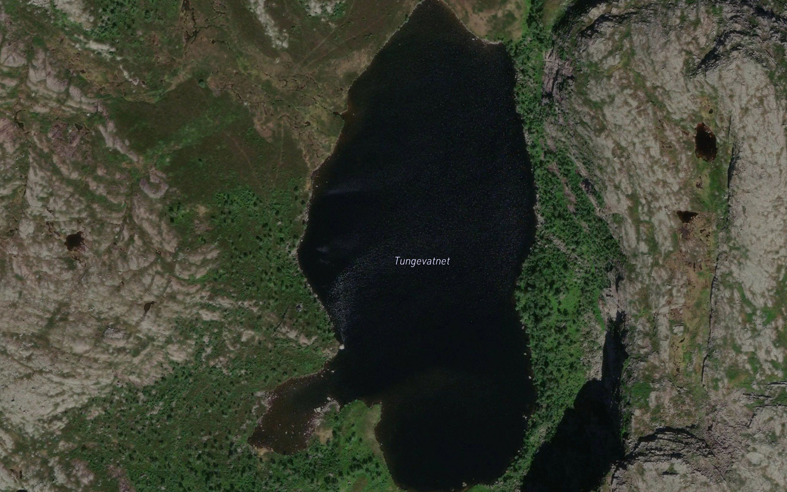 Tungevatnet