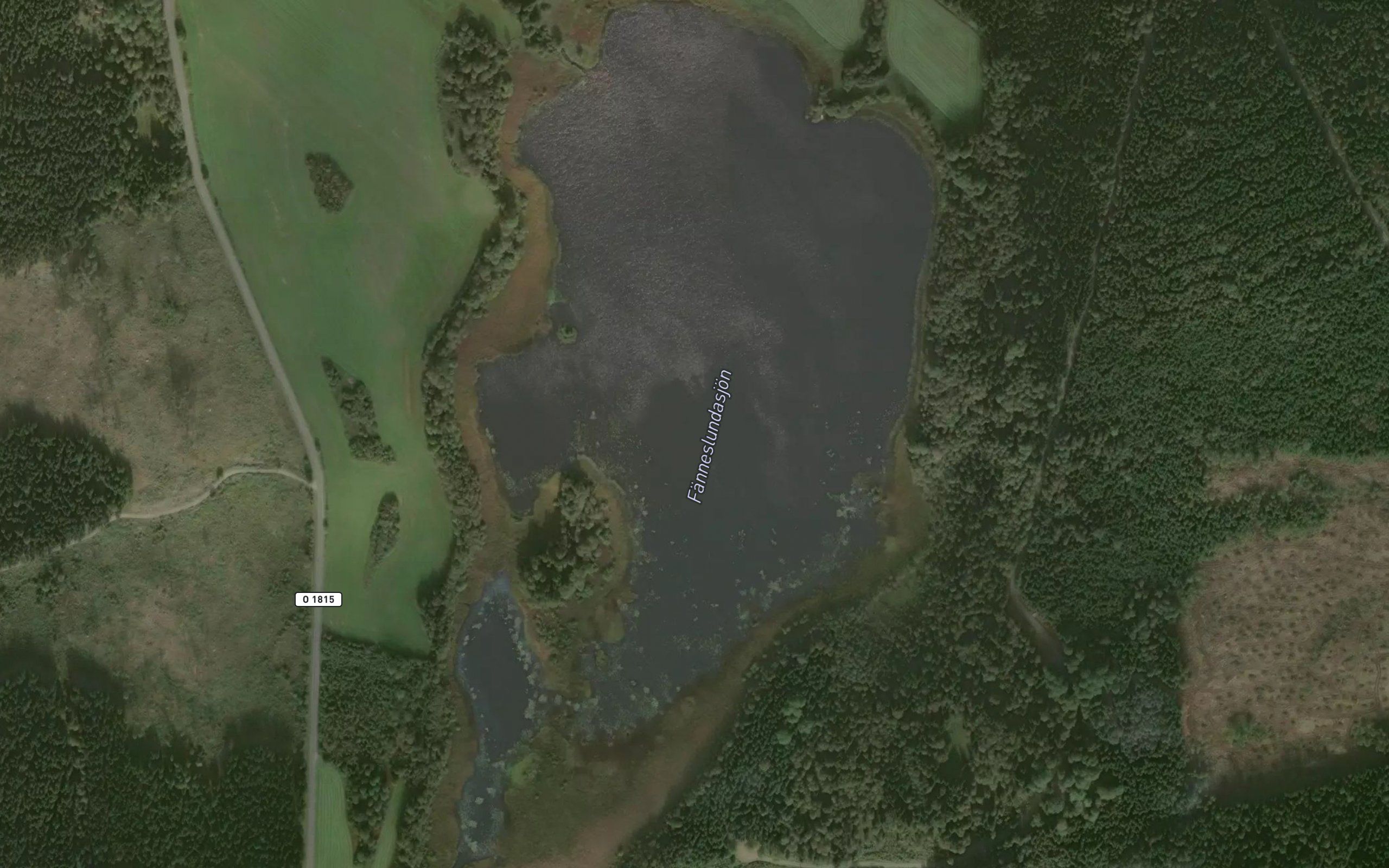 Faenneslundasjoen