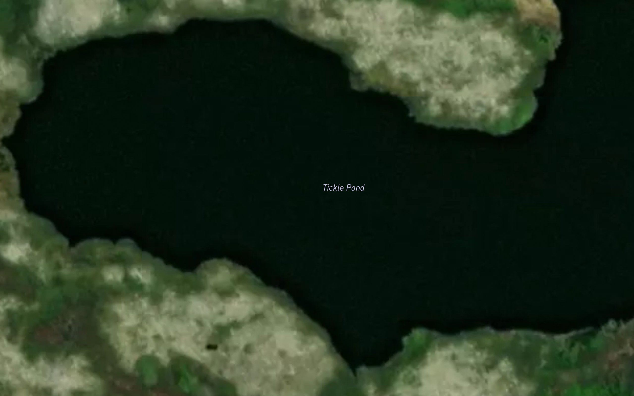 Tickle Pond