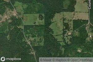 Fenton Springs Branch