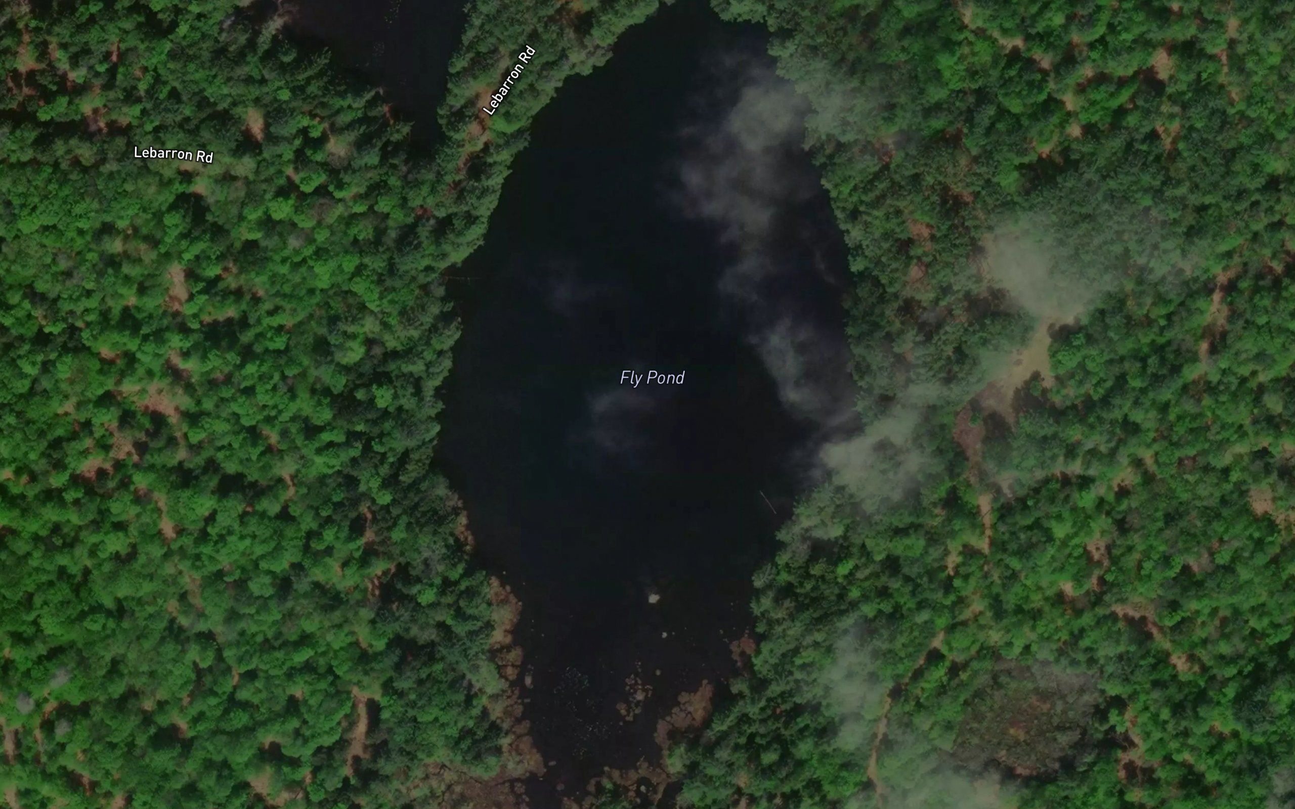 Fly Pond