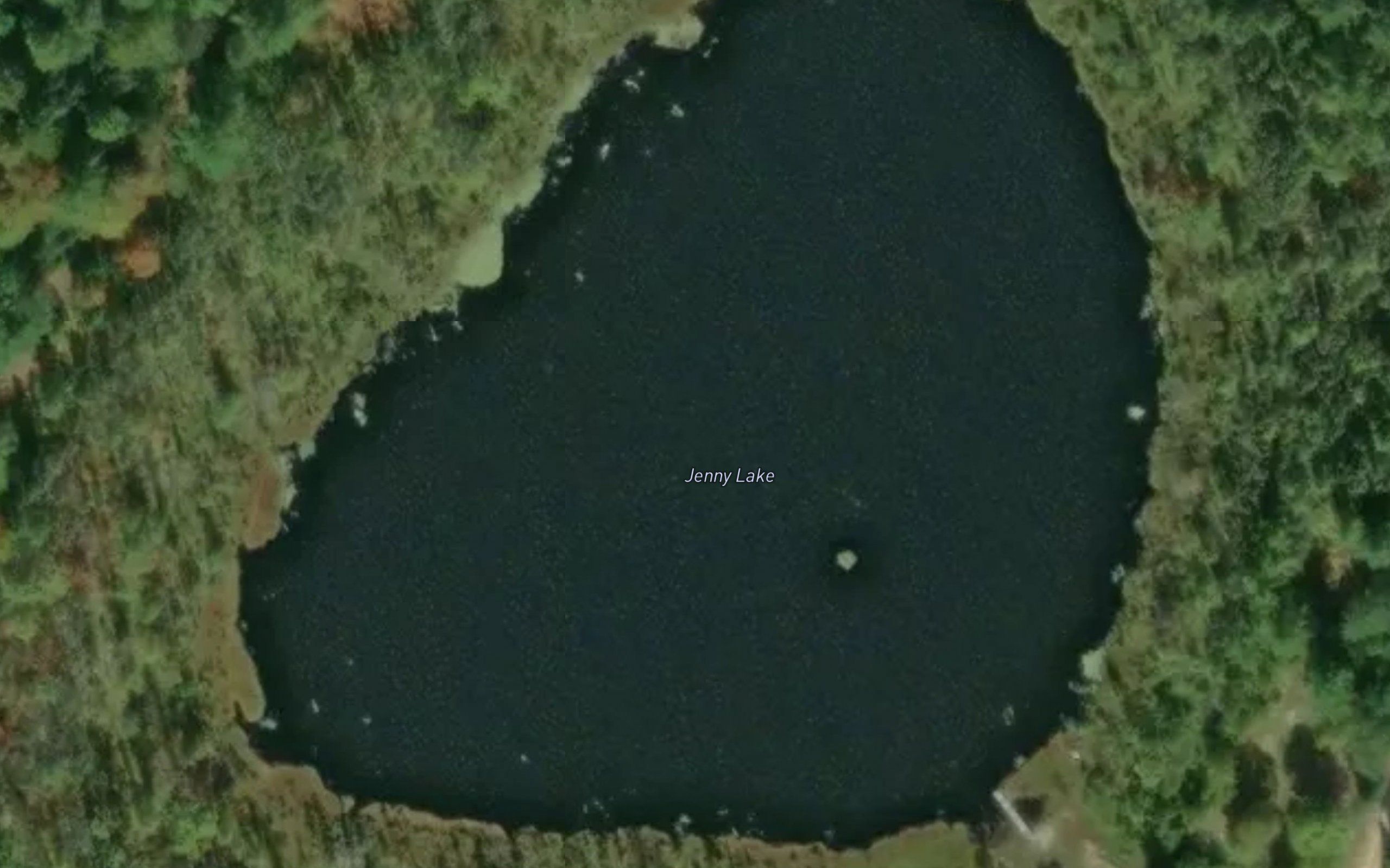 Jenny Lake