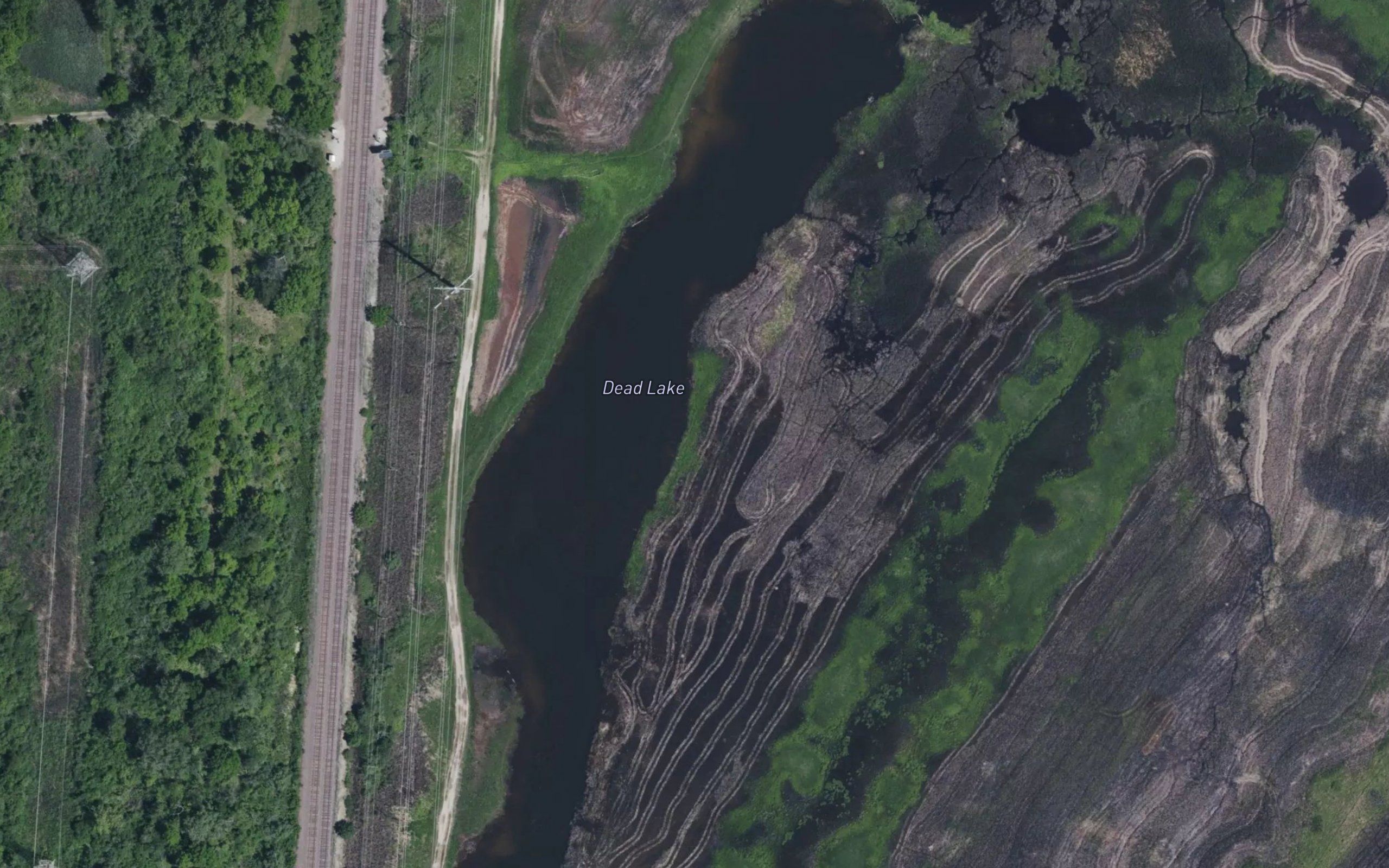 Dead Lake
