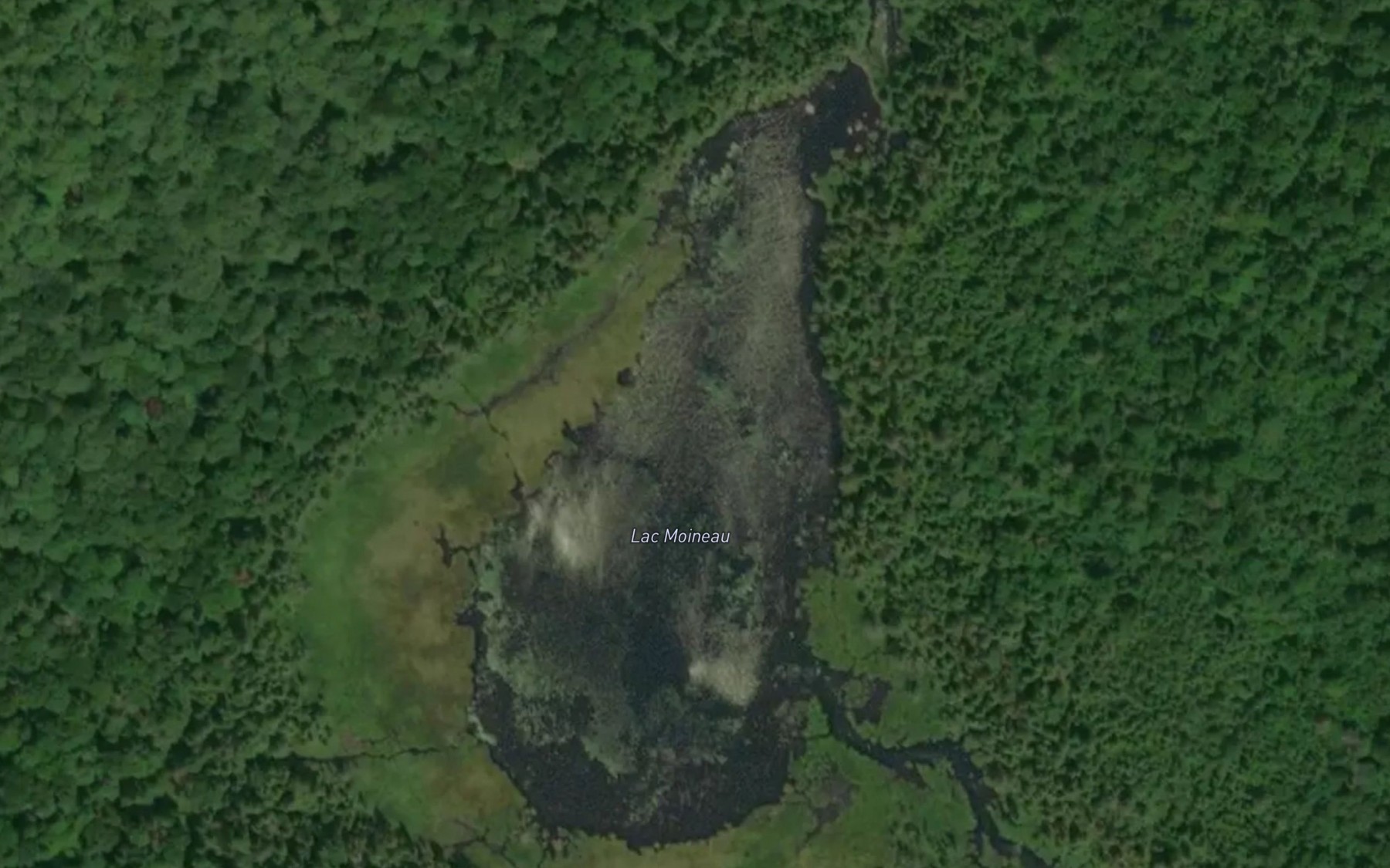 Satellite map of the Lac Moineau