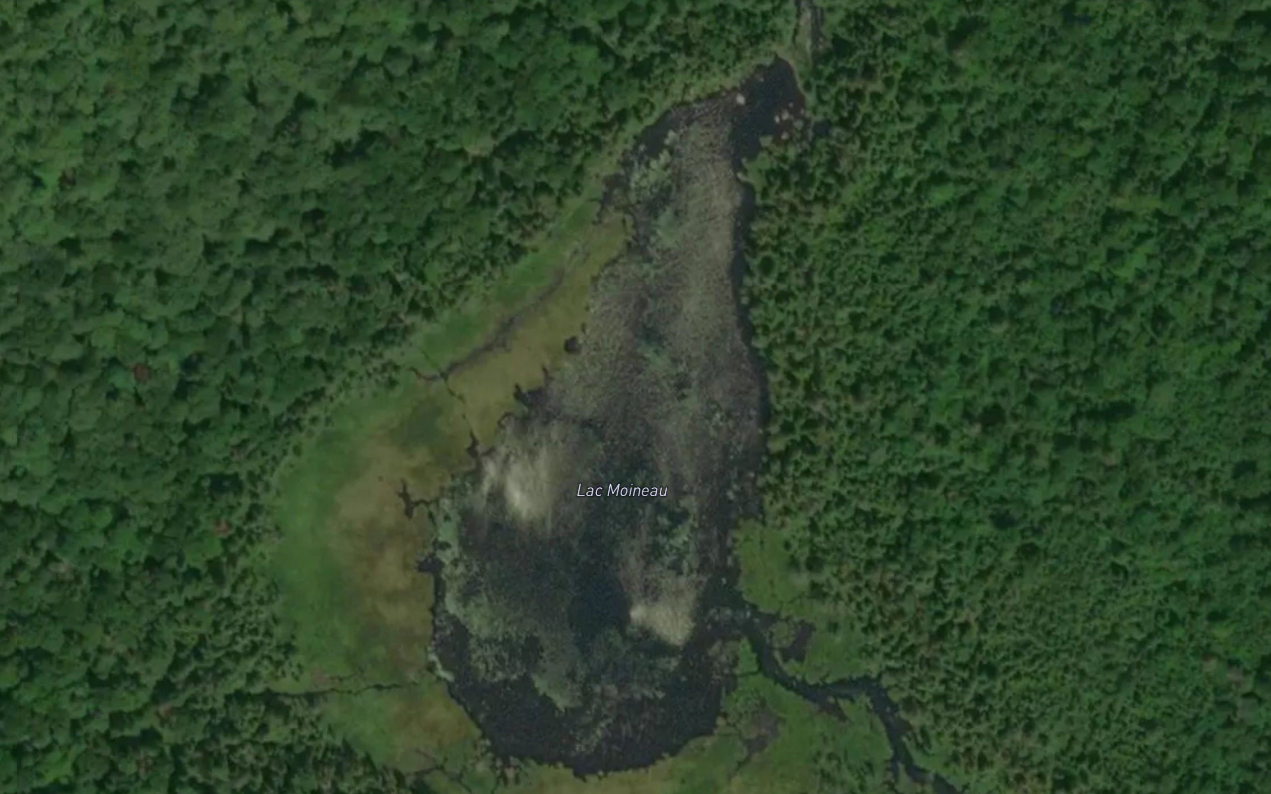 Lac Moineau