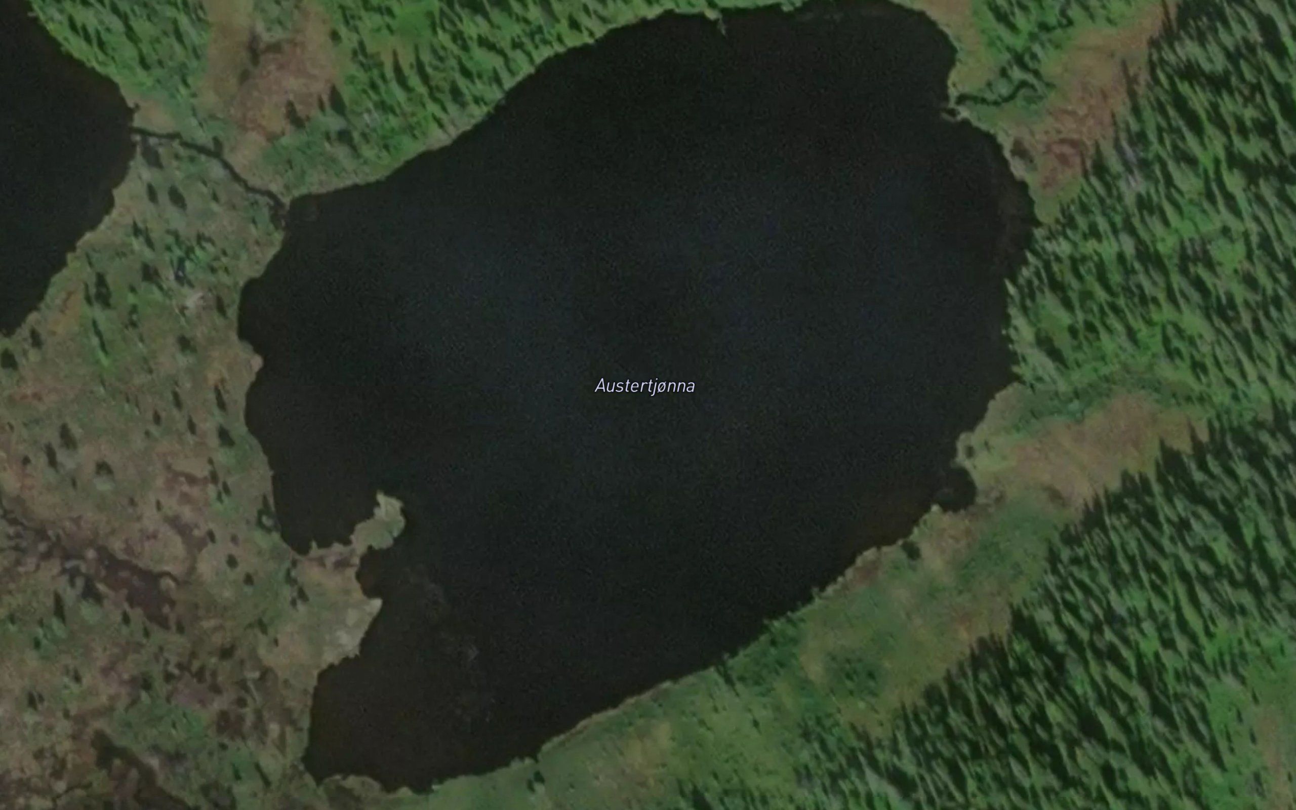 Austertjonna