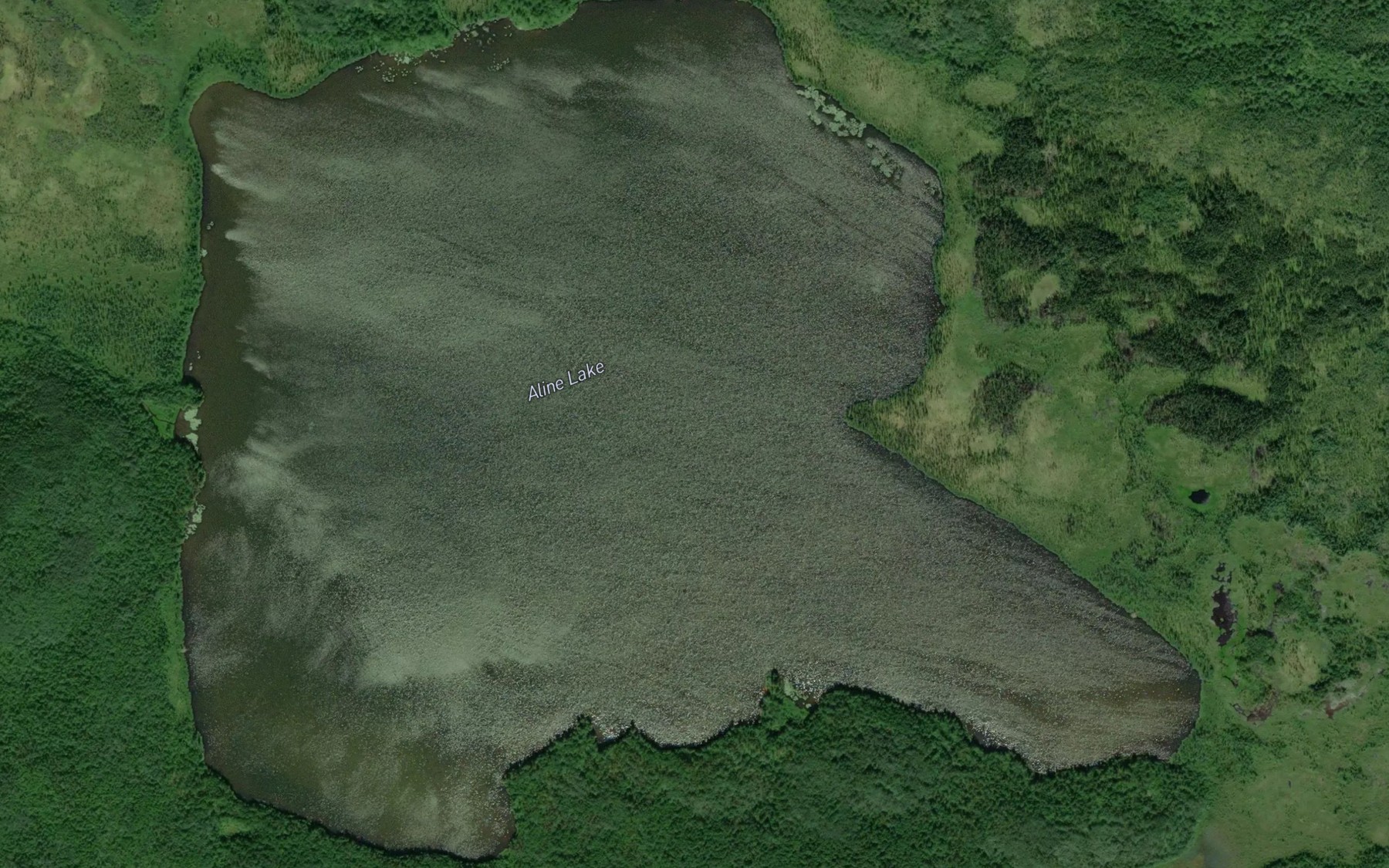 Satellite map of the Aline Lake