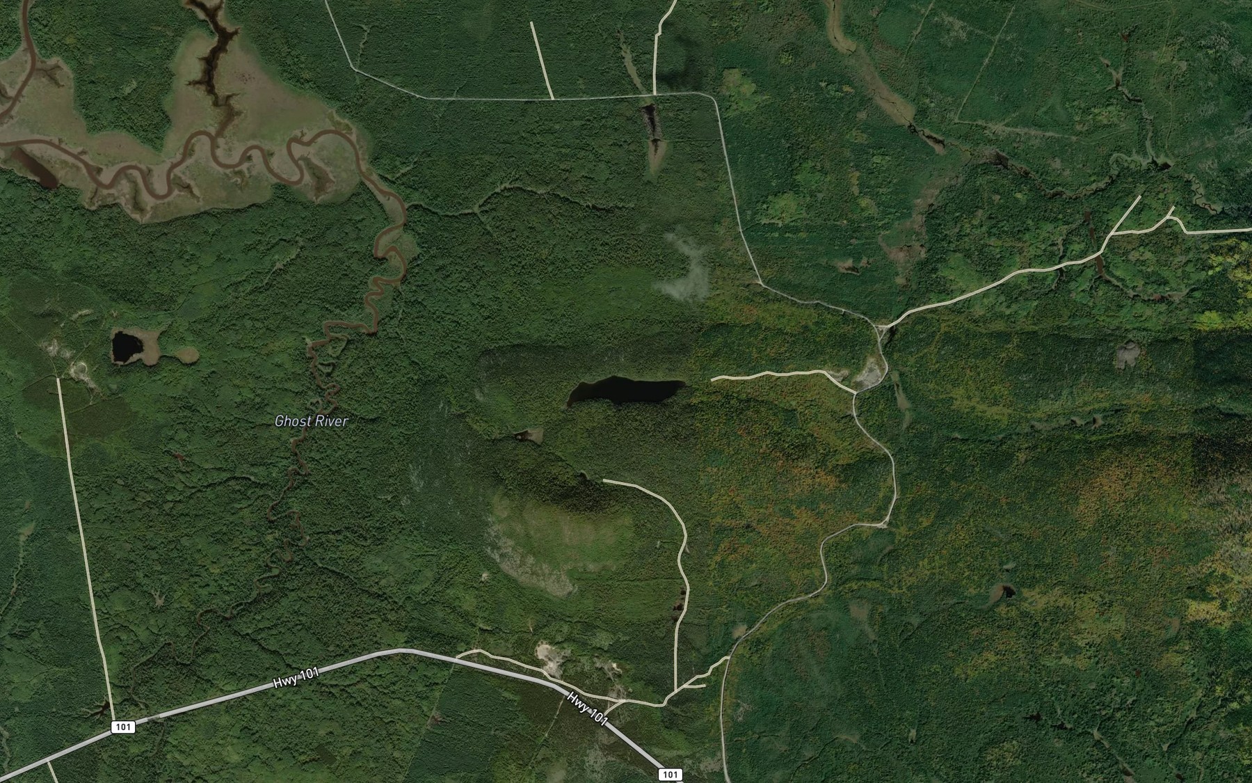 Satellite map of the Carlyle Lake
