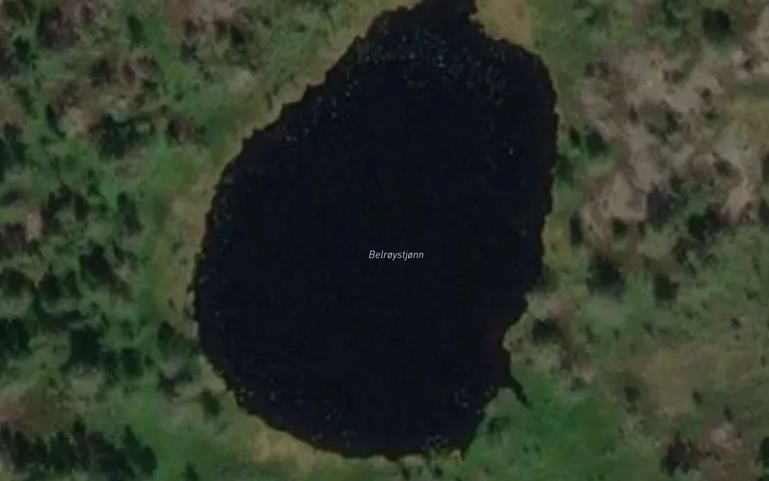 Bellreistjorna