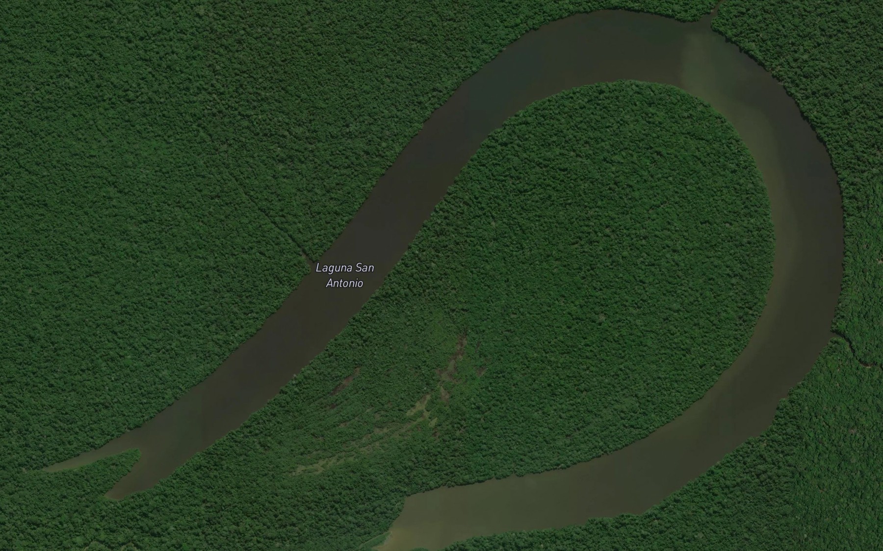 Satellite map of the Laguna San Antonio