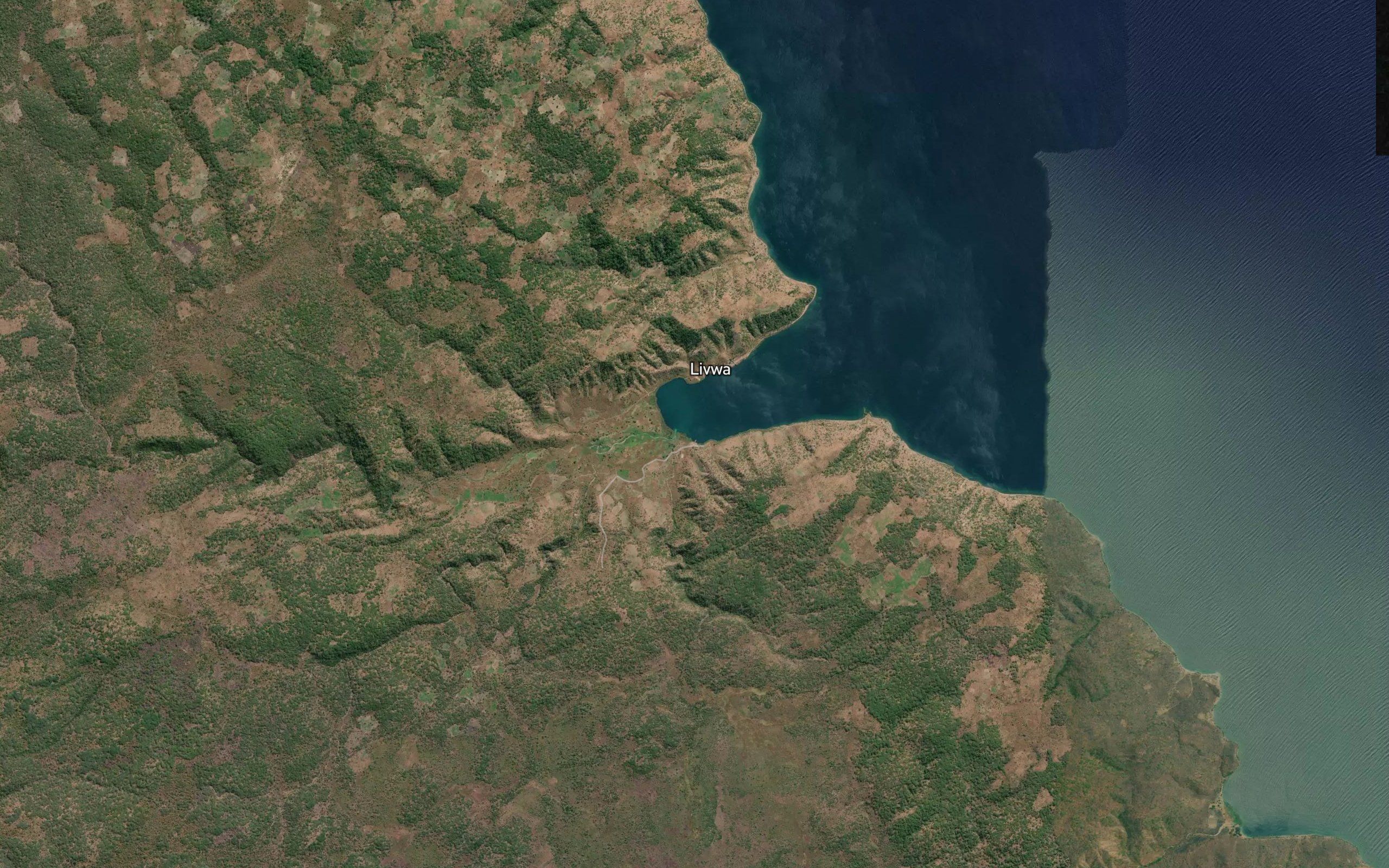 Livua