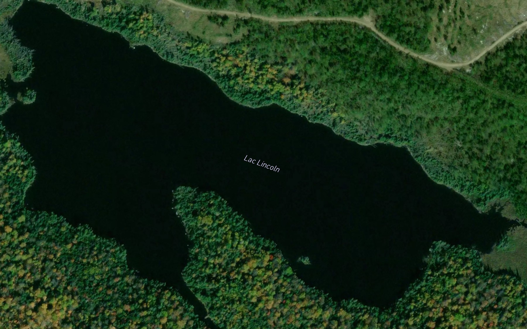Satellite map of the Lac Lincoln