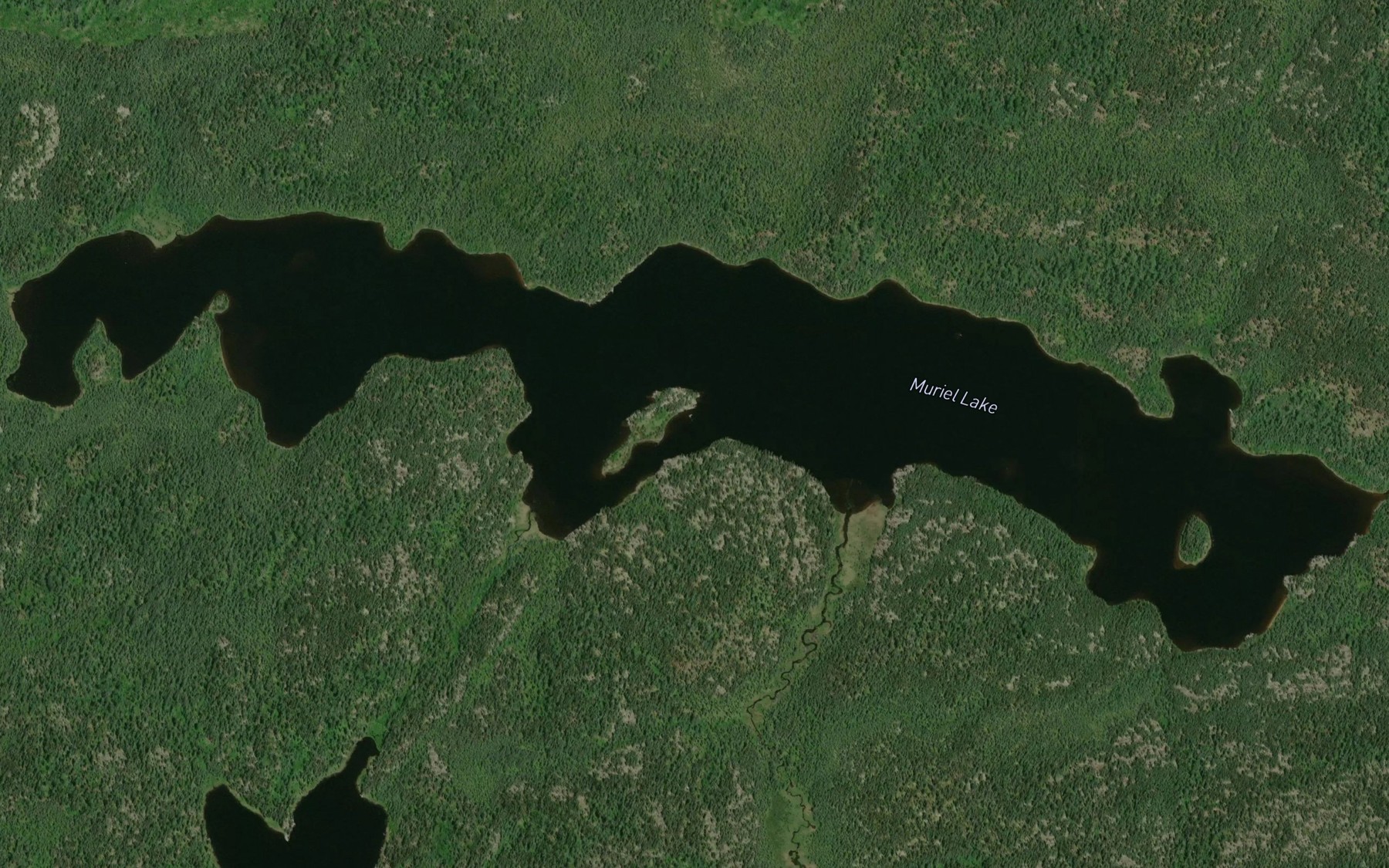 Satellite map of the Muriel Lake