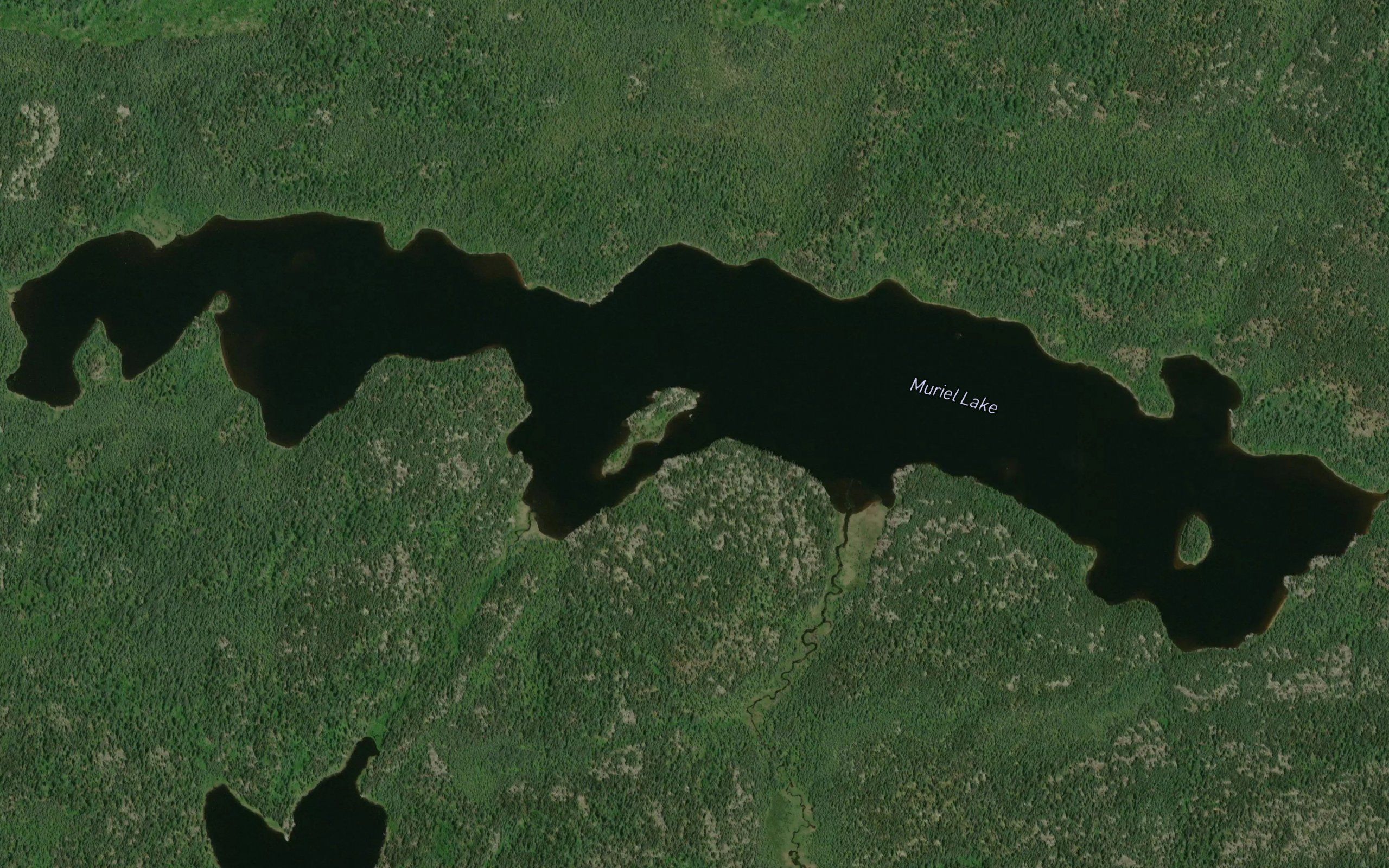 Muriel Lake