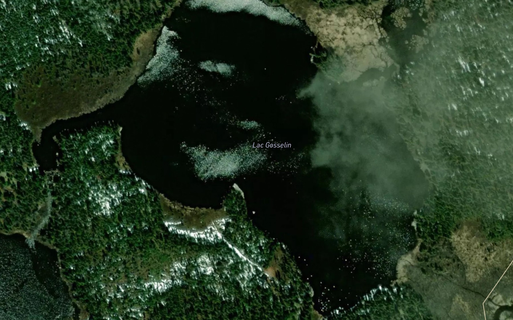 Satellite map of the Lac Gosselin