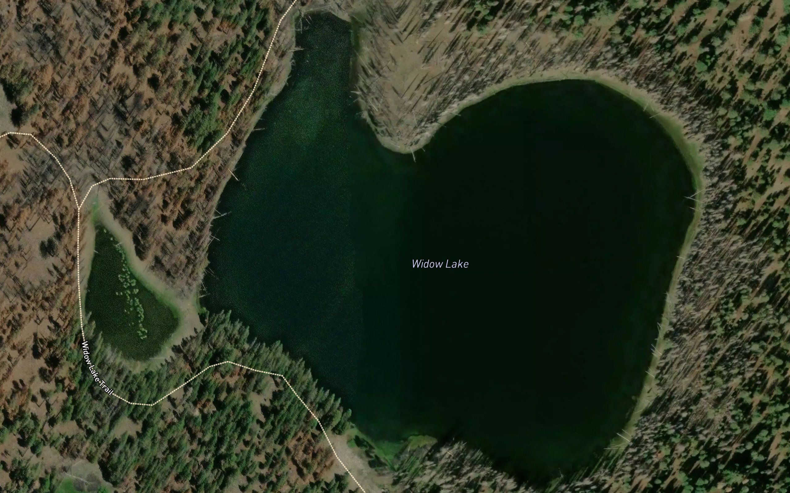 Widow Lake