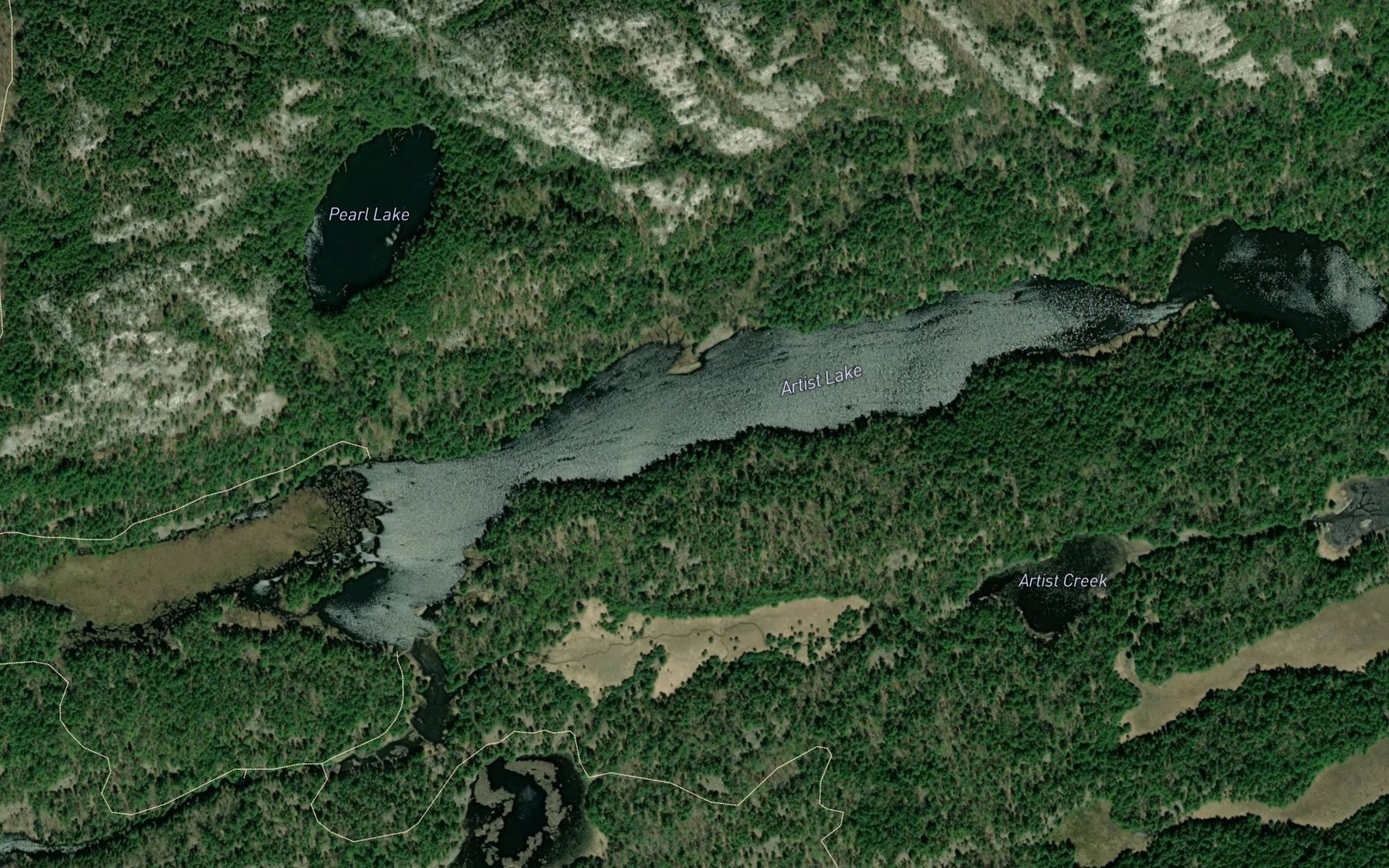 Satellite map of the Artist Lake