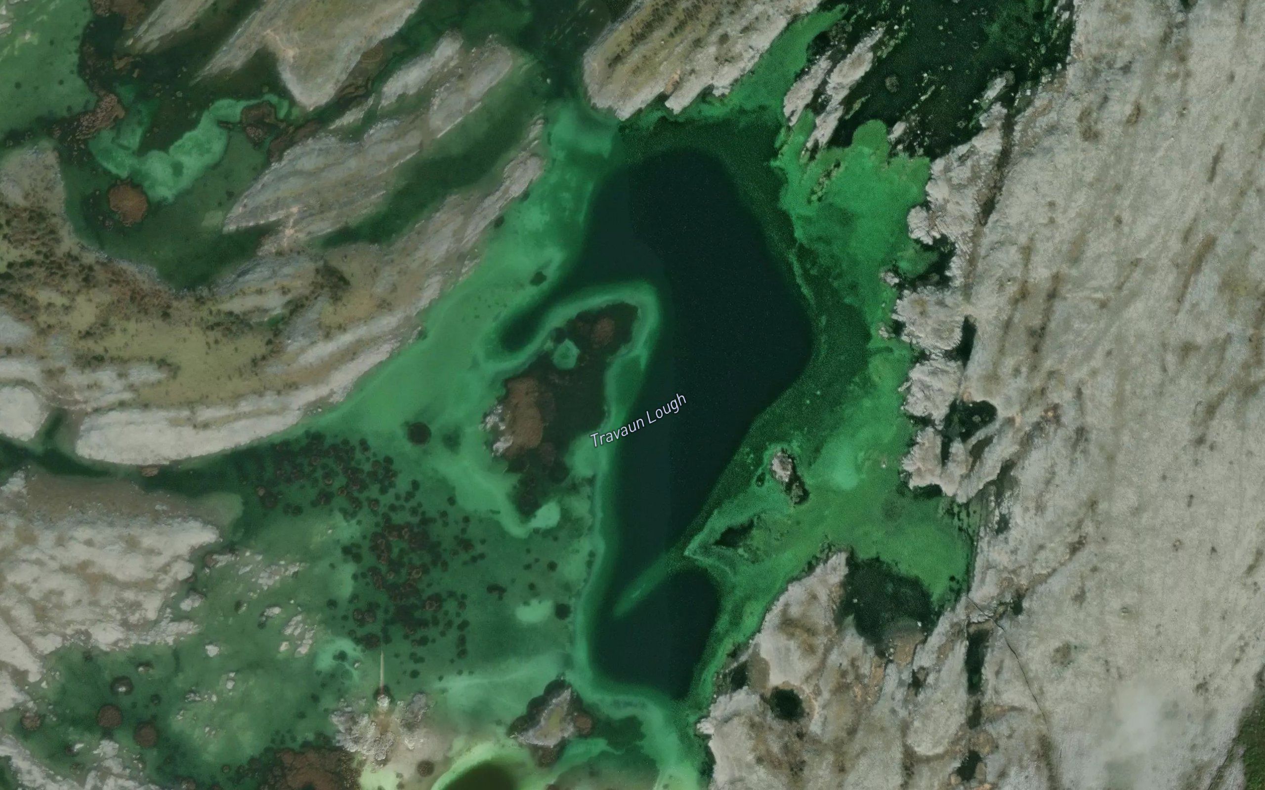 Travaun Lough