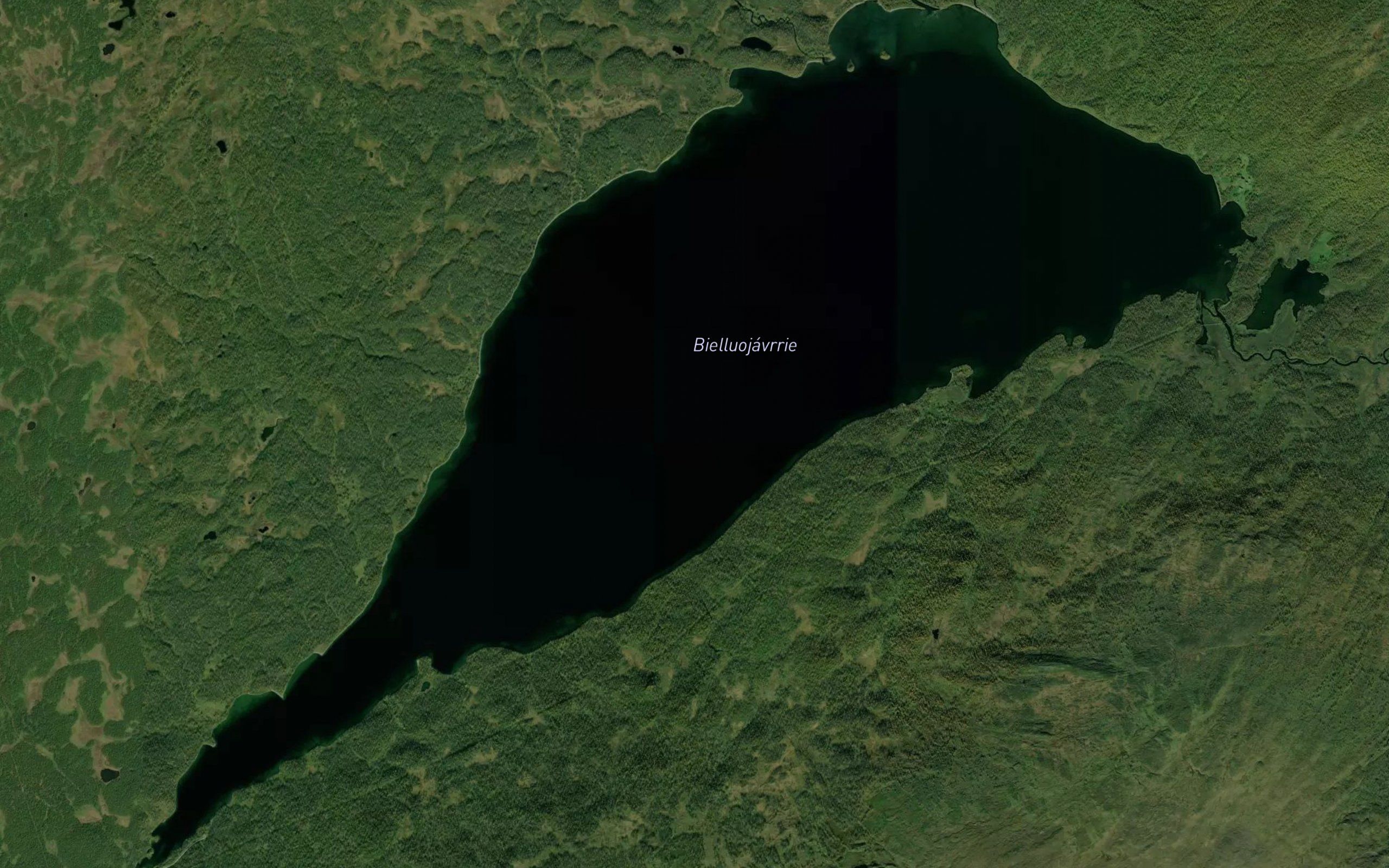 Ankarjokk