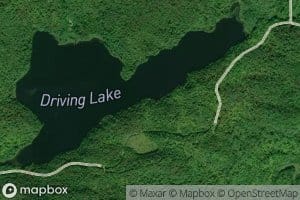 Driving Creek