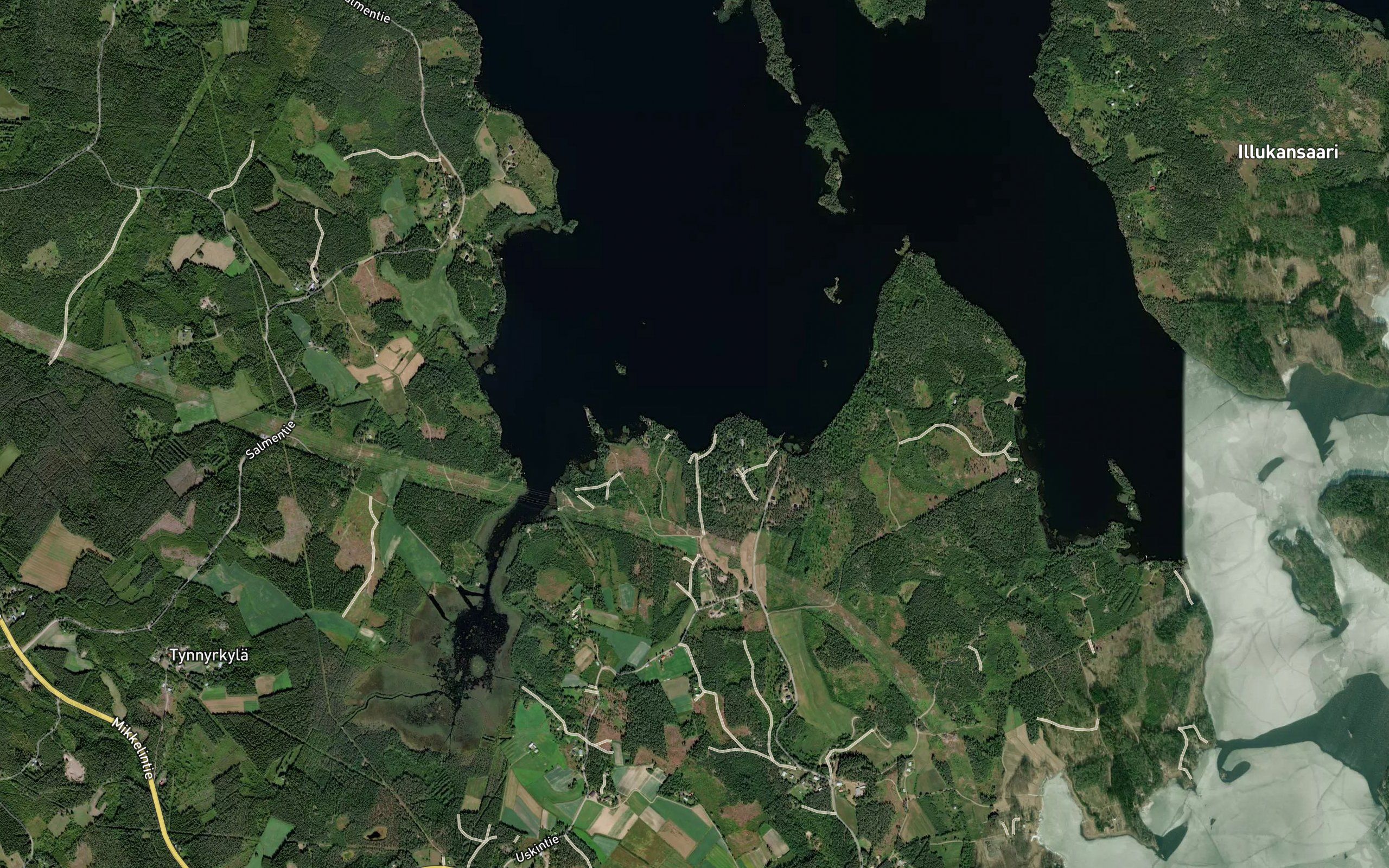 Lieslahti