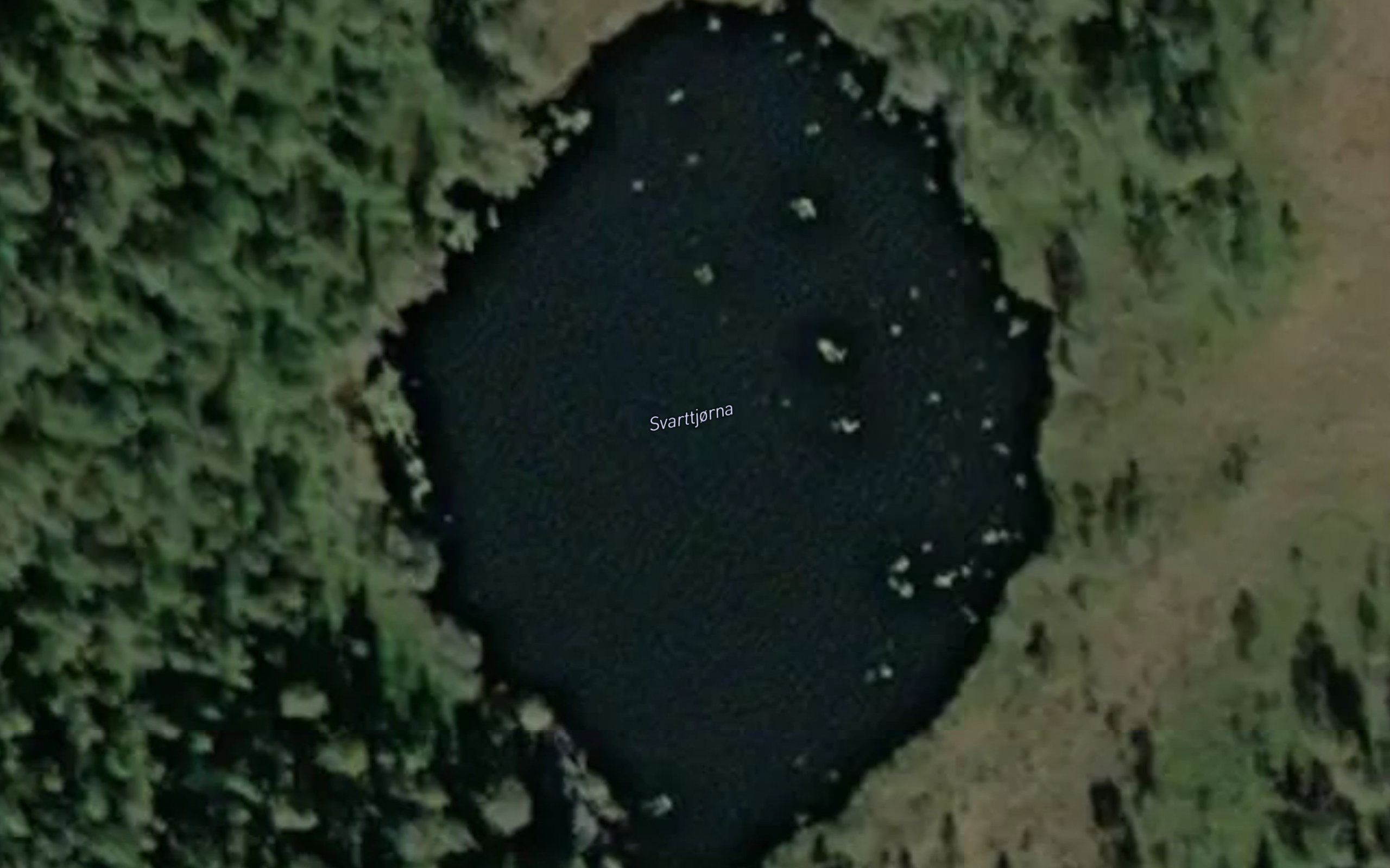 Den Svarte Tjenna