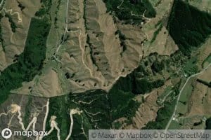 Supplejack Valley Stream