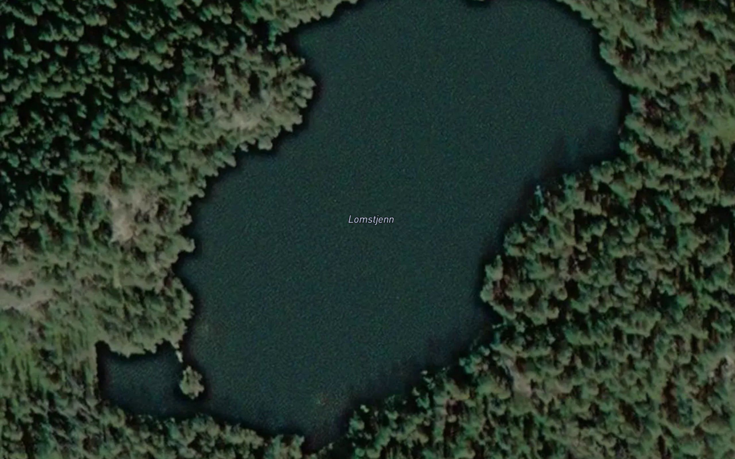 Lomstjern