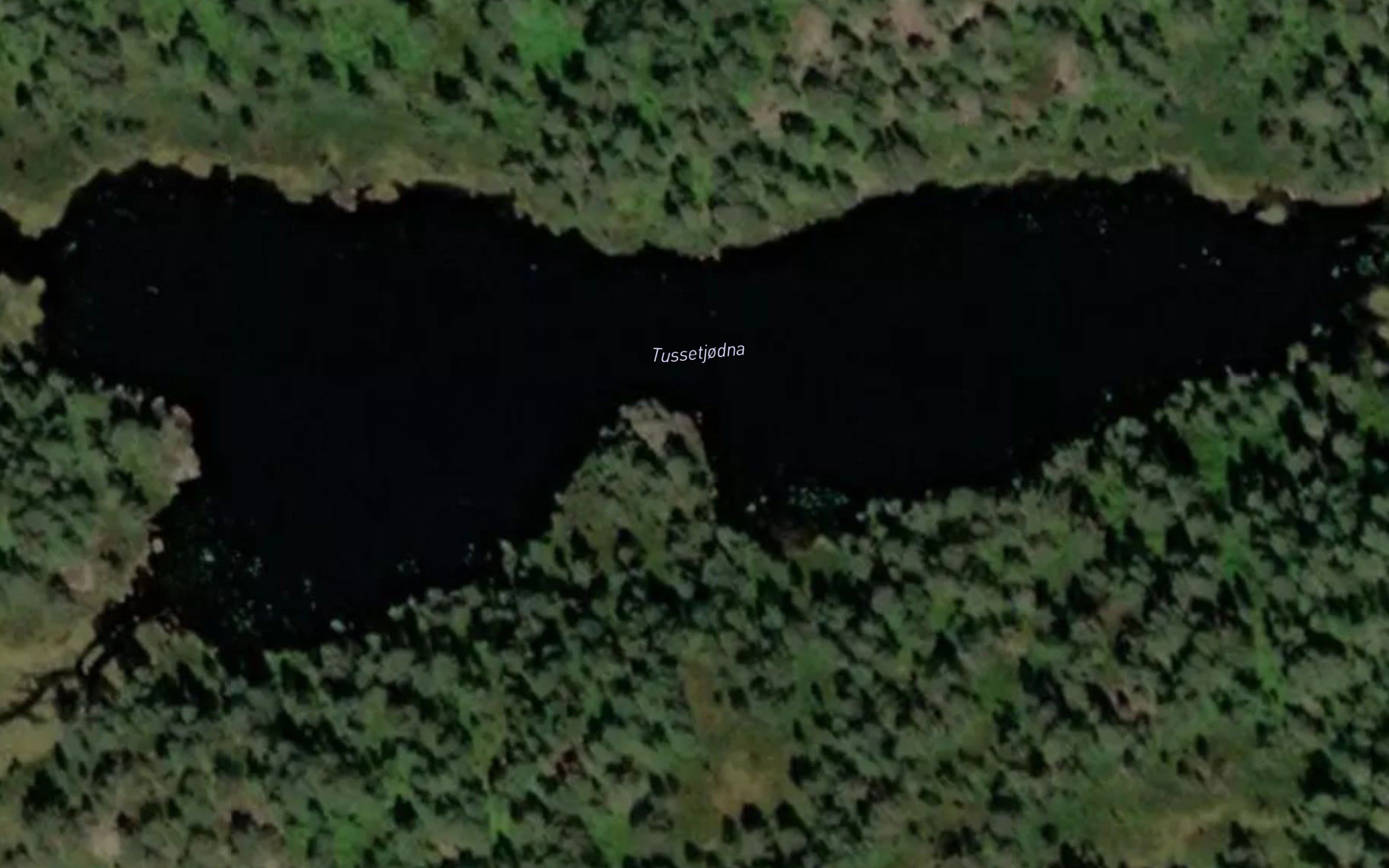 Tussetjodna