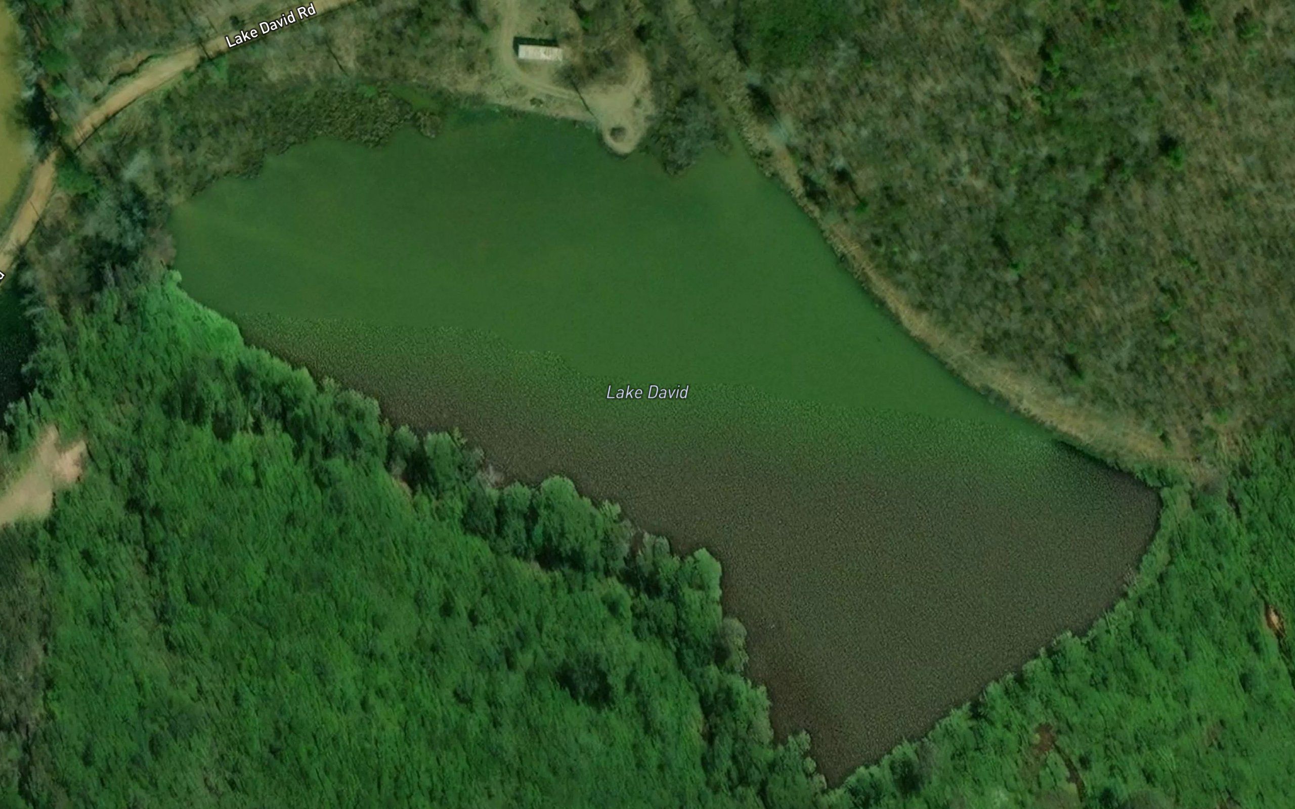 Lake David