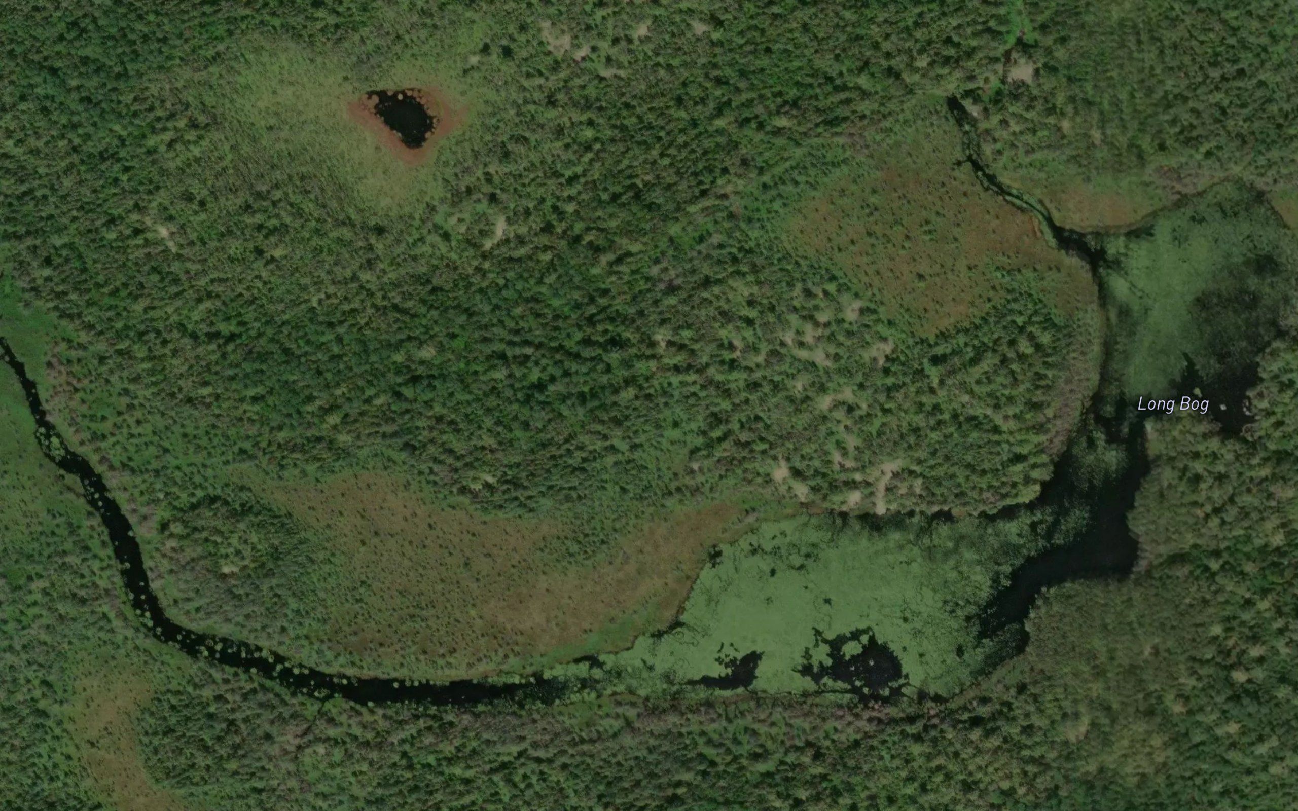 Long Bog