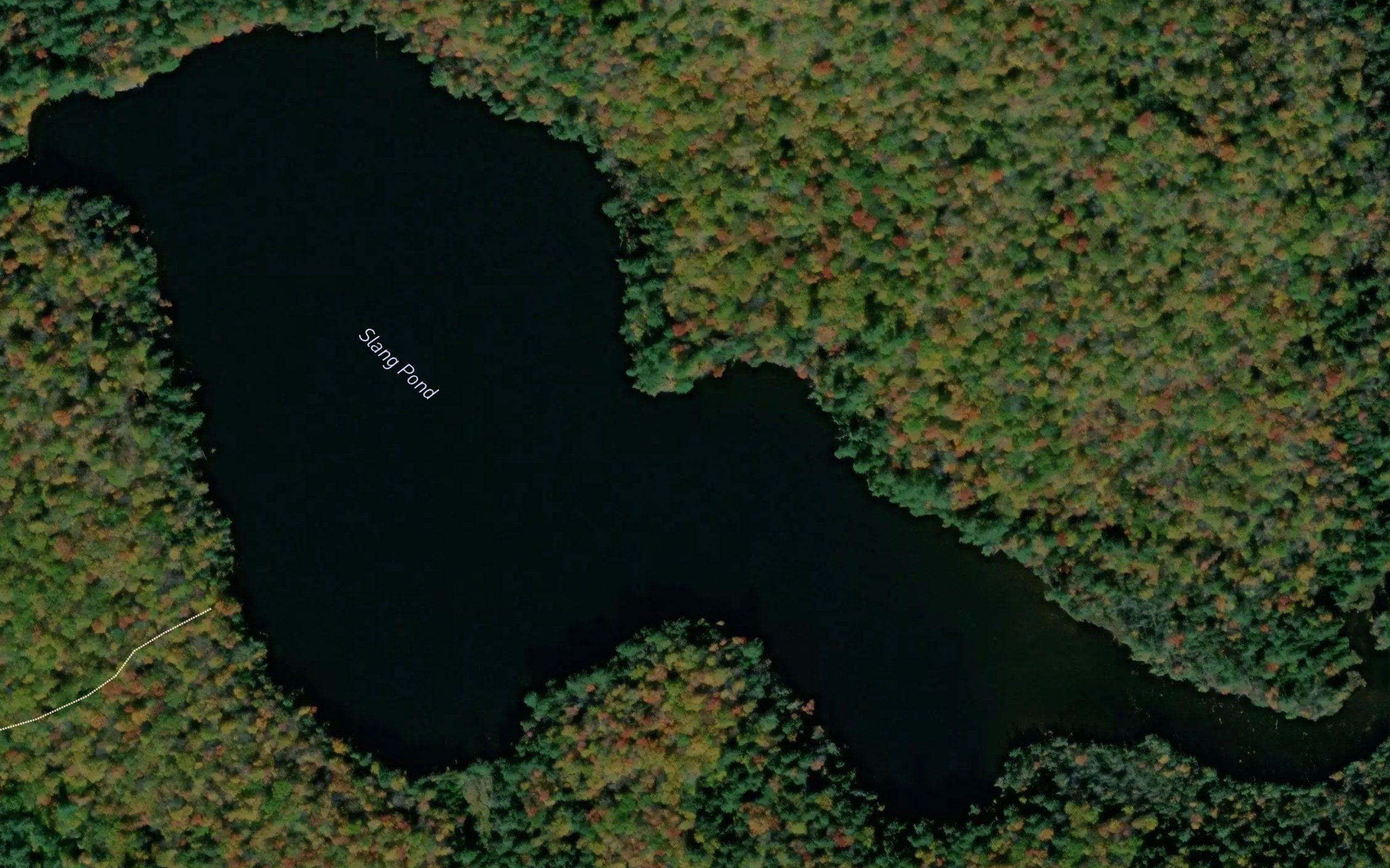 Slang Pond