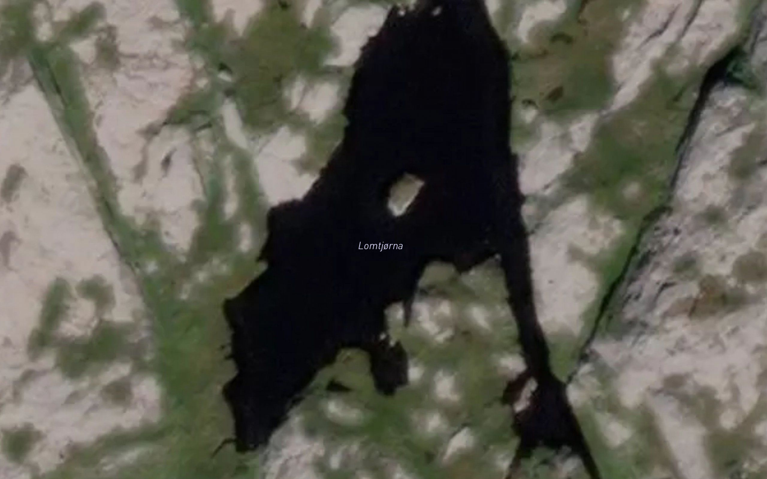 Lambtjorna