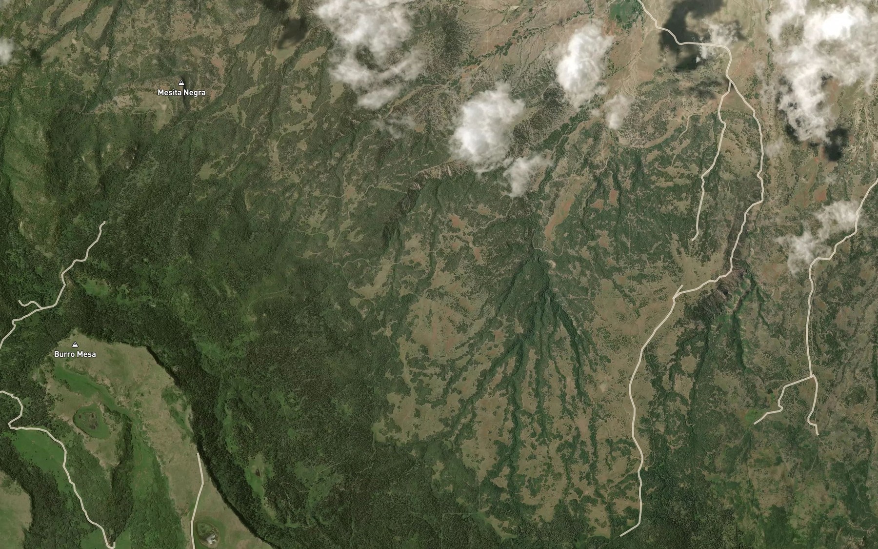 Satellite map of the Petes Lake