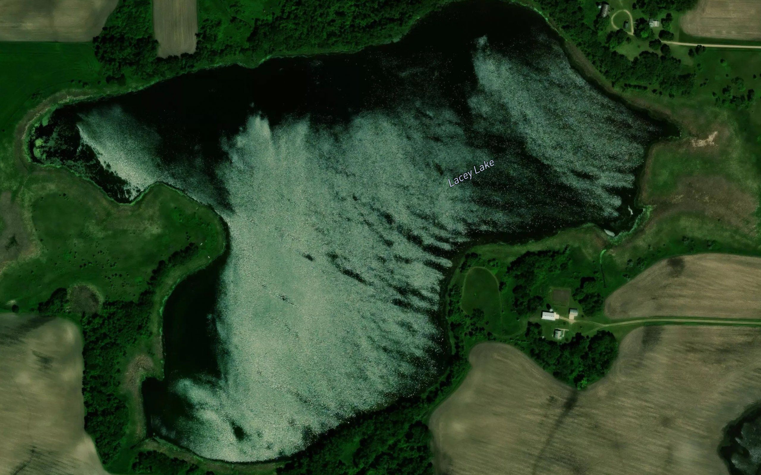 Lacey Lake
