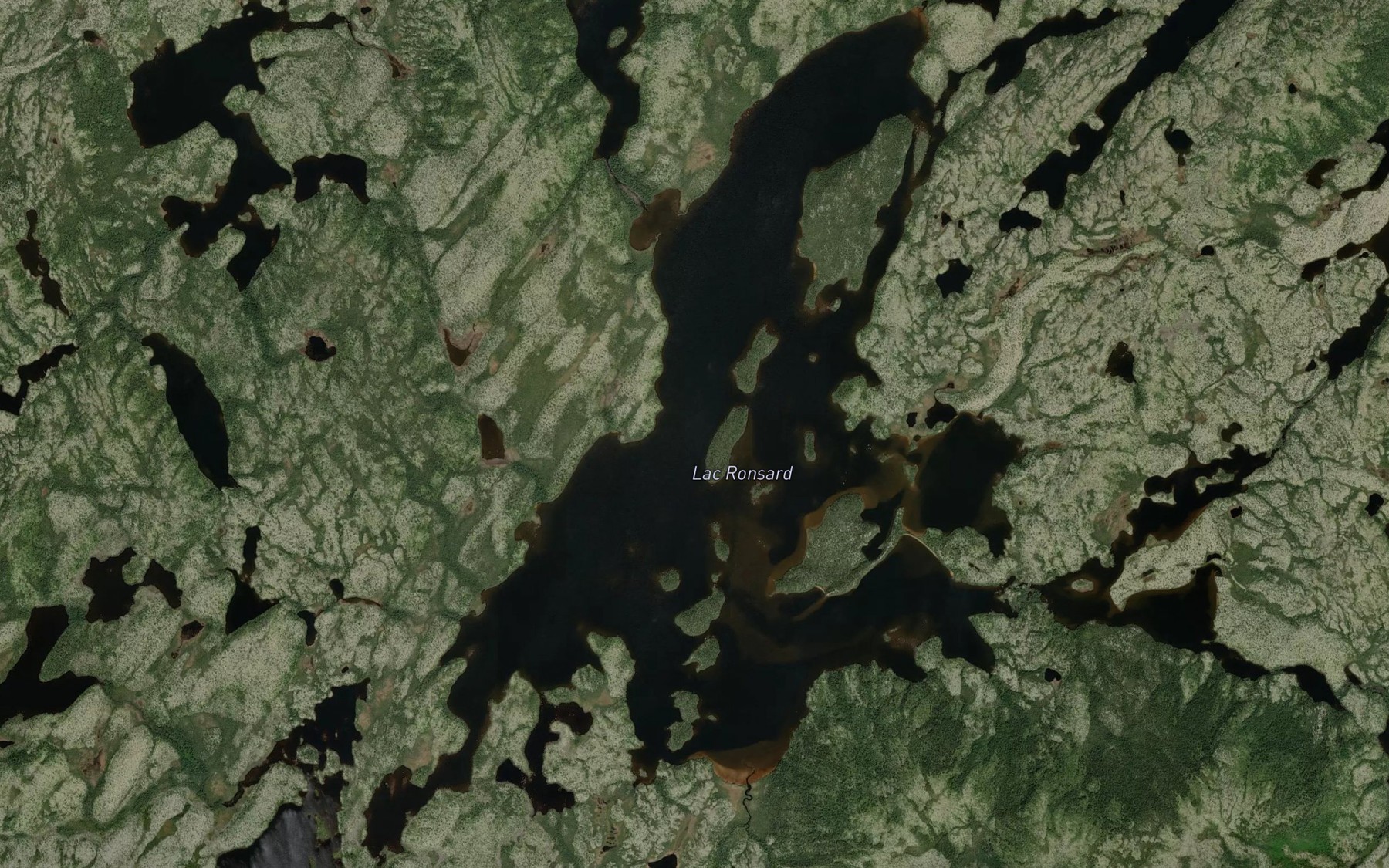 Satellite map of the Lac Ronsard