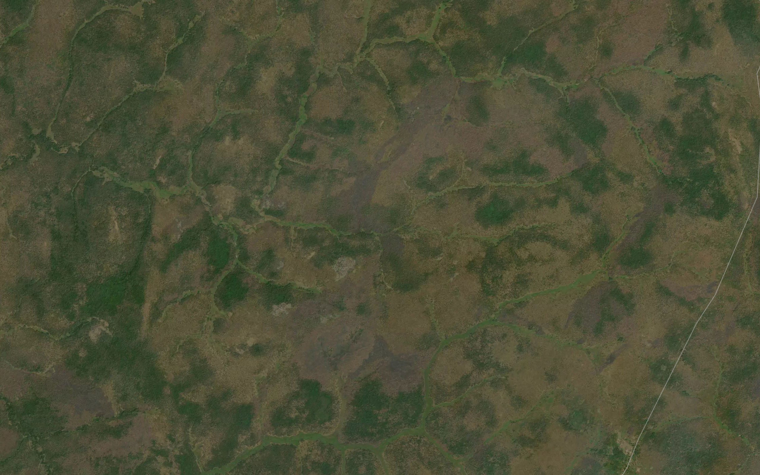 Logbole