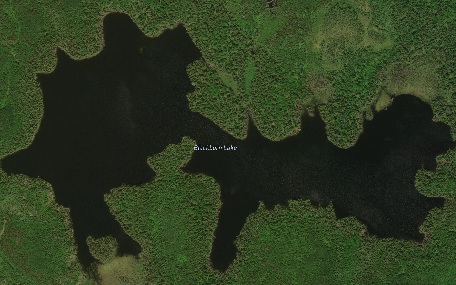 Satellite map of the Blackburn Lake