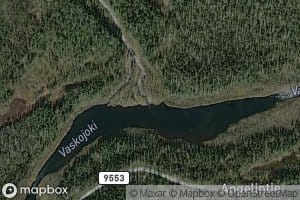 Palojoki