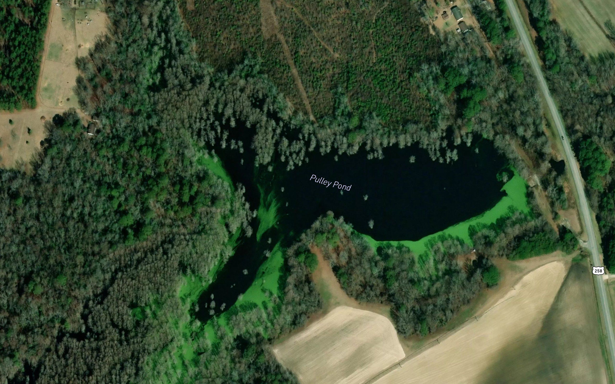 Pulley Pond