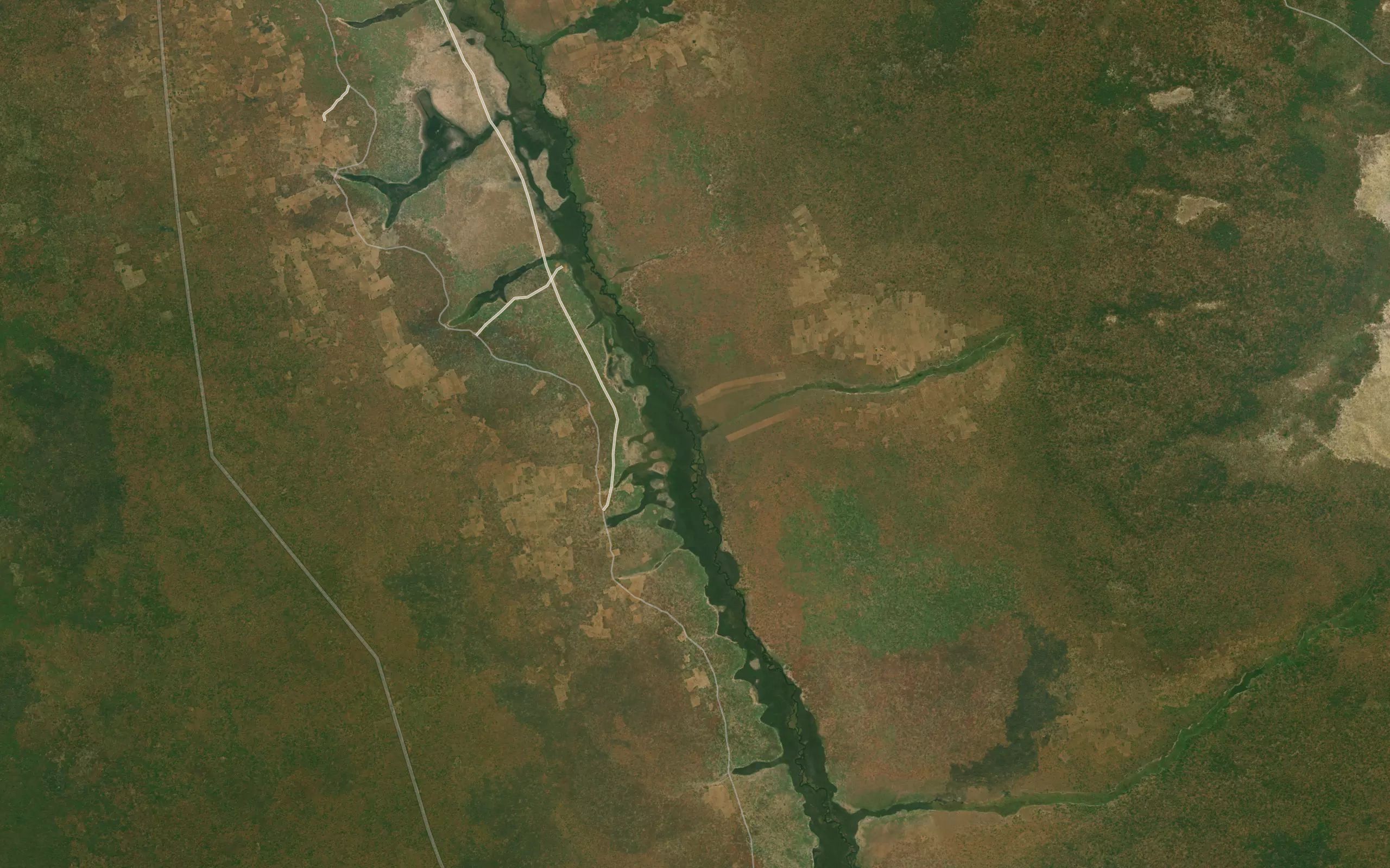 Nzumbe