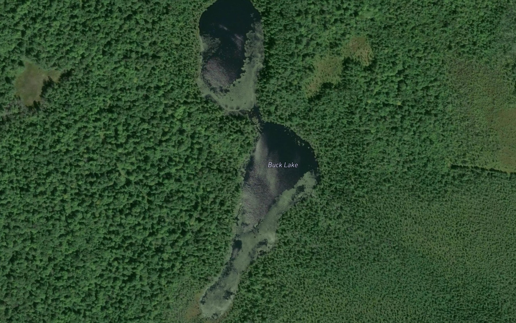 Satellite map of the Buck Lake